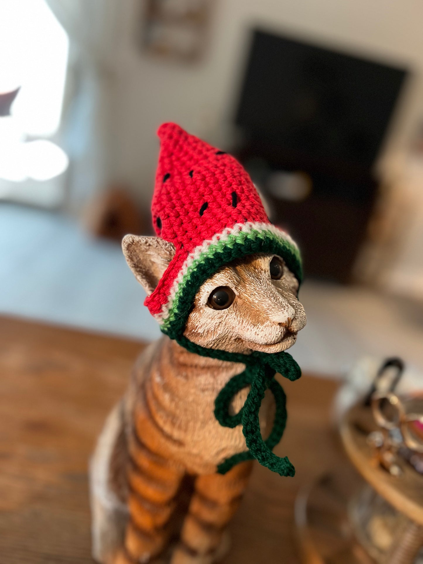 Watermelon Cat Hat