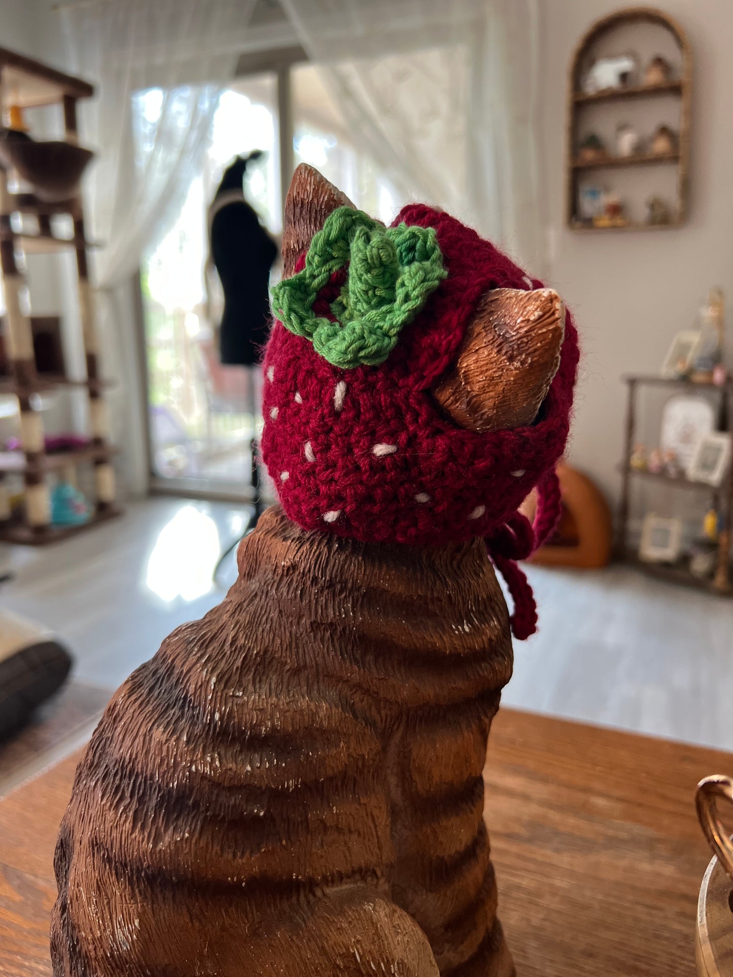 Strawberry Cat Hat