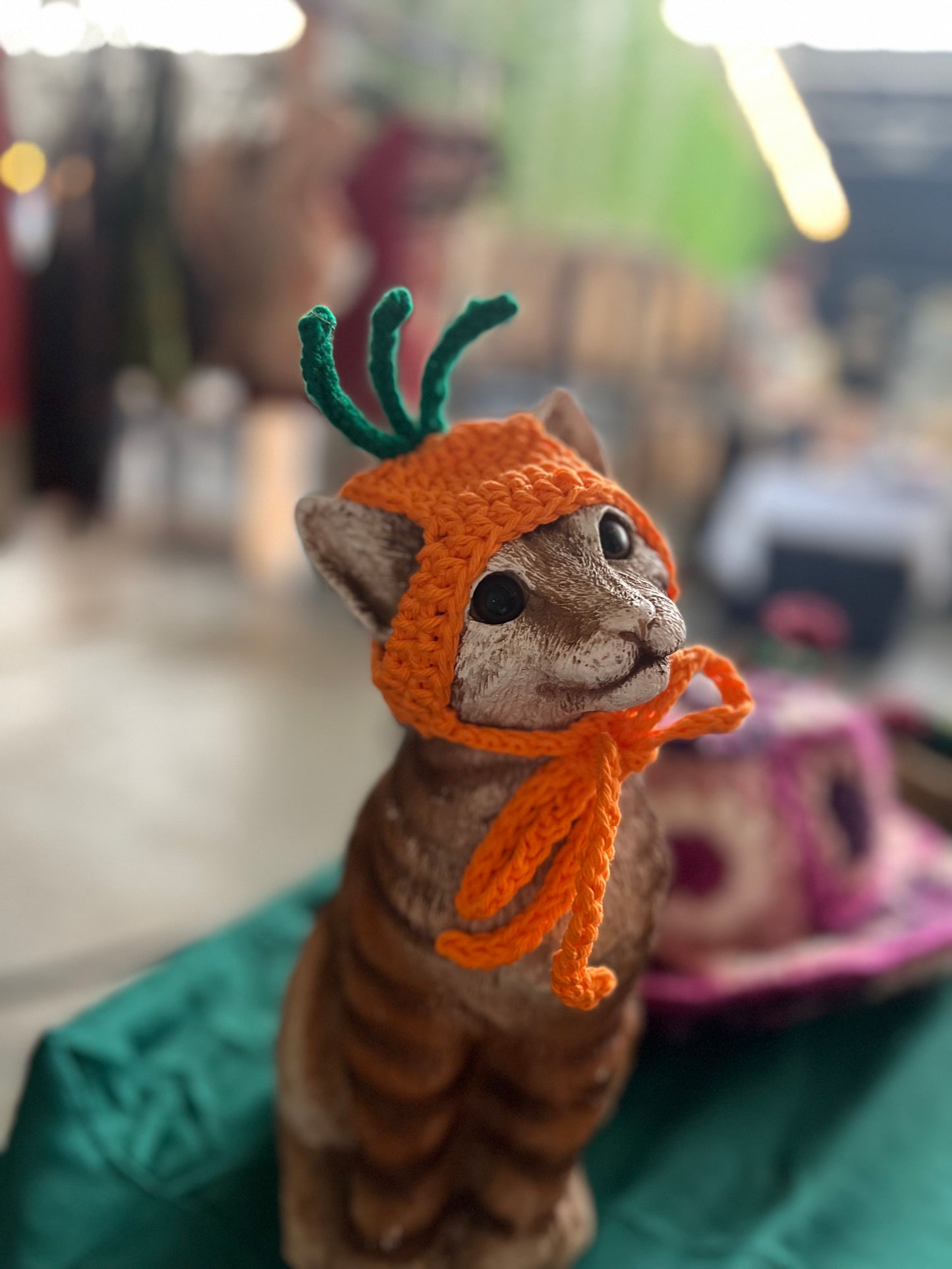 Carrot Cat Hat