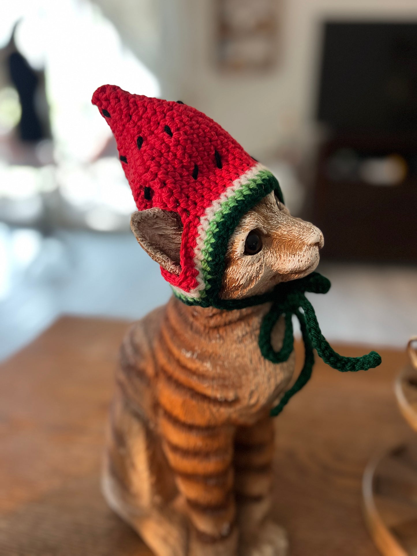 Watermelon Cat Hat