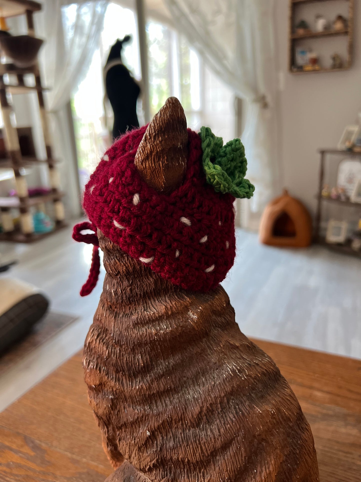 Strawberry Cat Hat