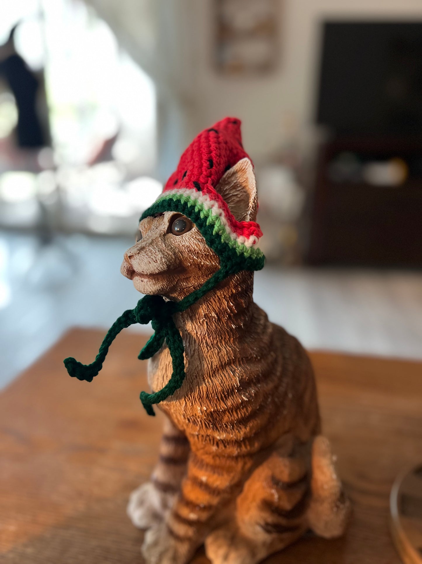 Watermelon Cat Hat