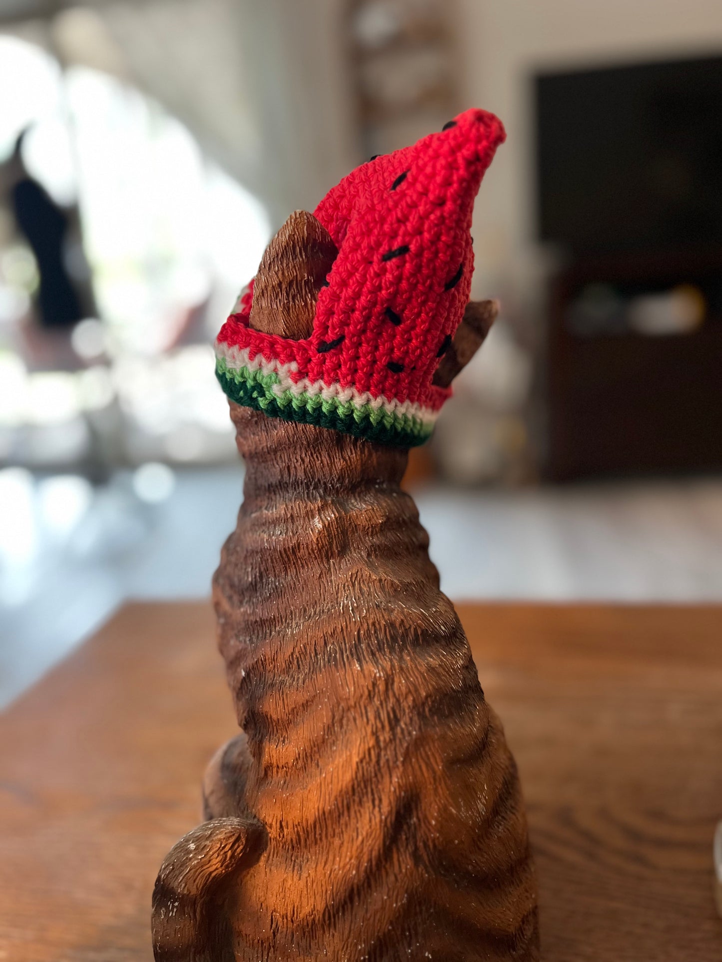 Watermelon Cat Hat