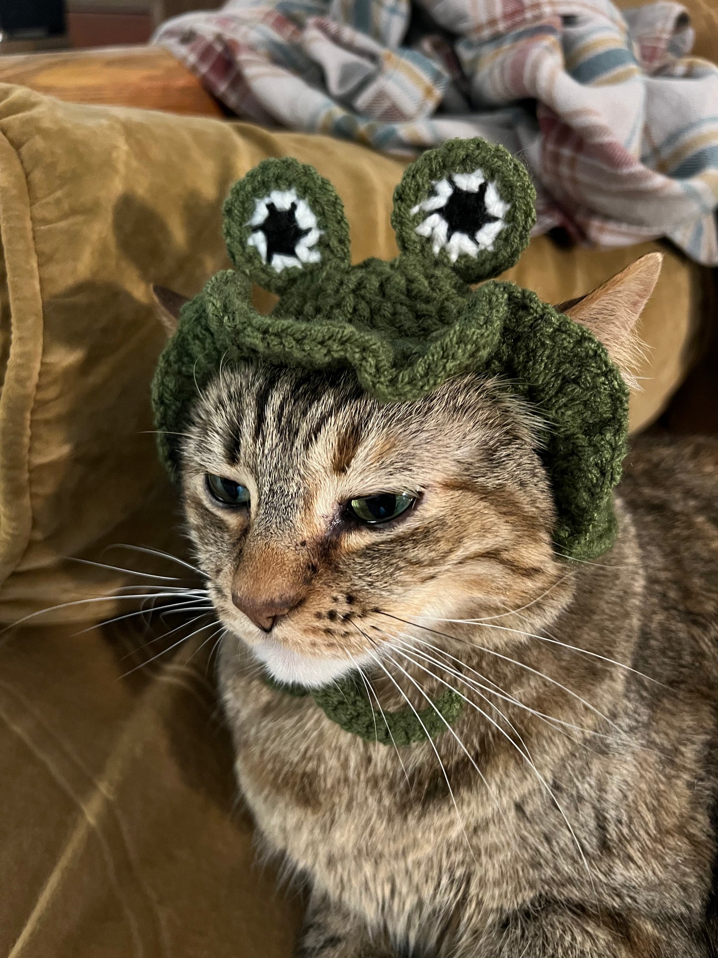 Frog Sunhat for Cats - PDF Digital Pattern