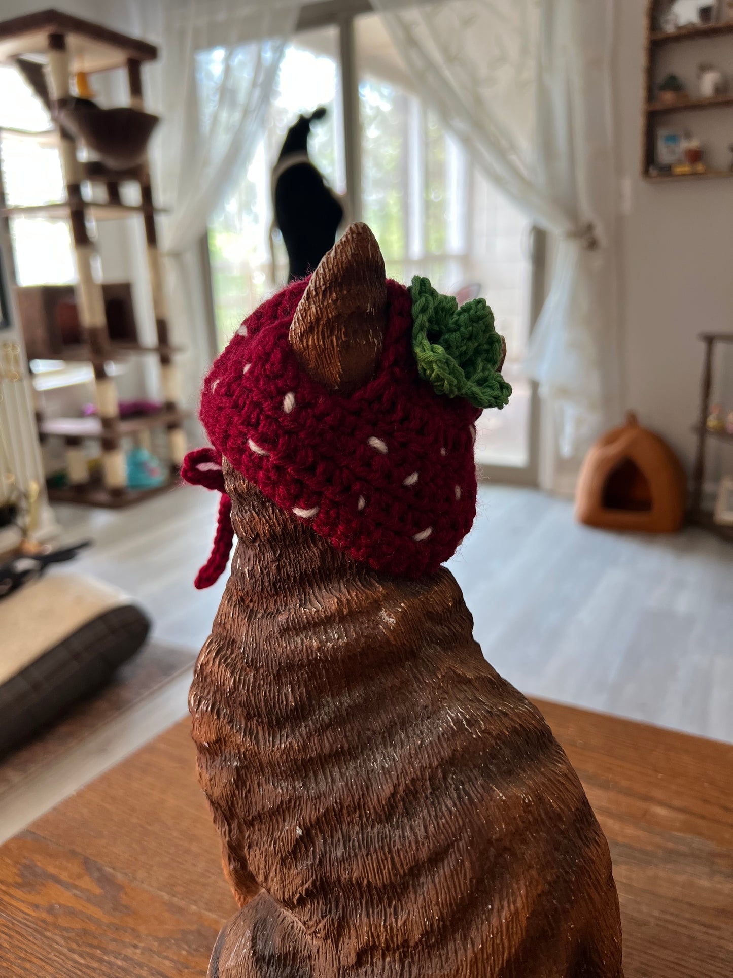 Strawberry Cat Hat