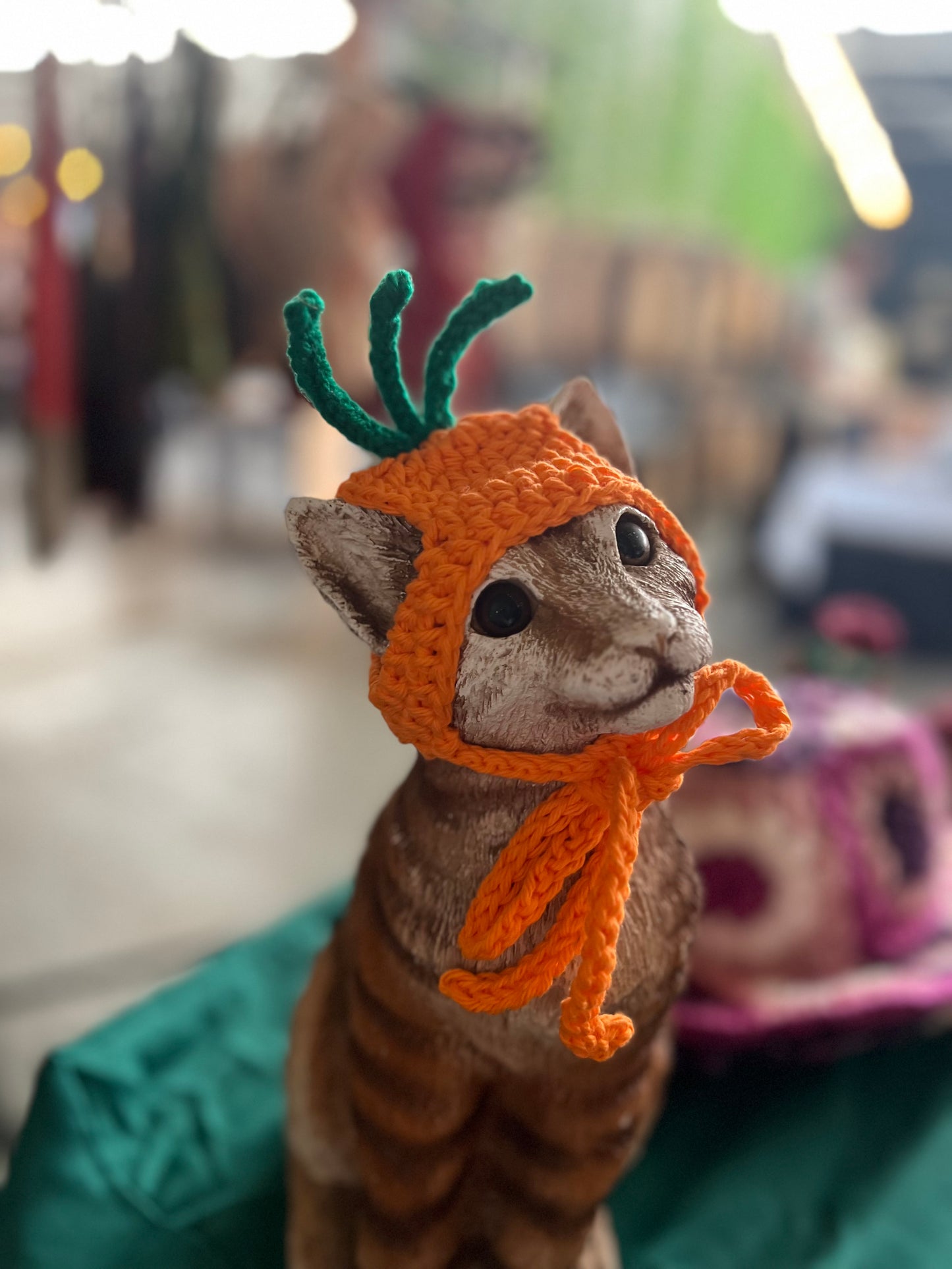 Carrot Cat Hat