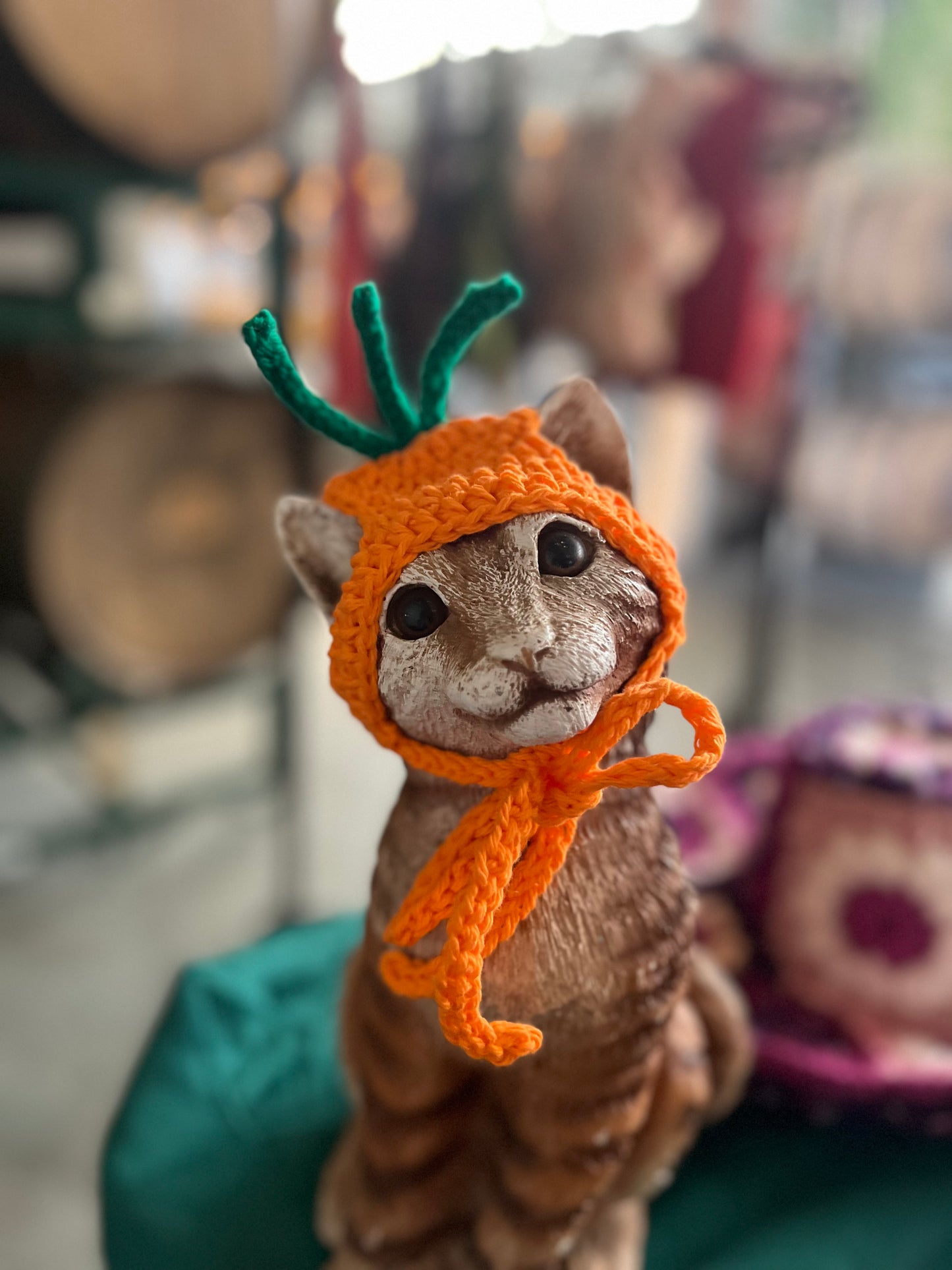 Carrot Cat Hat