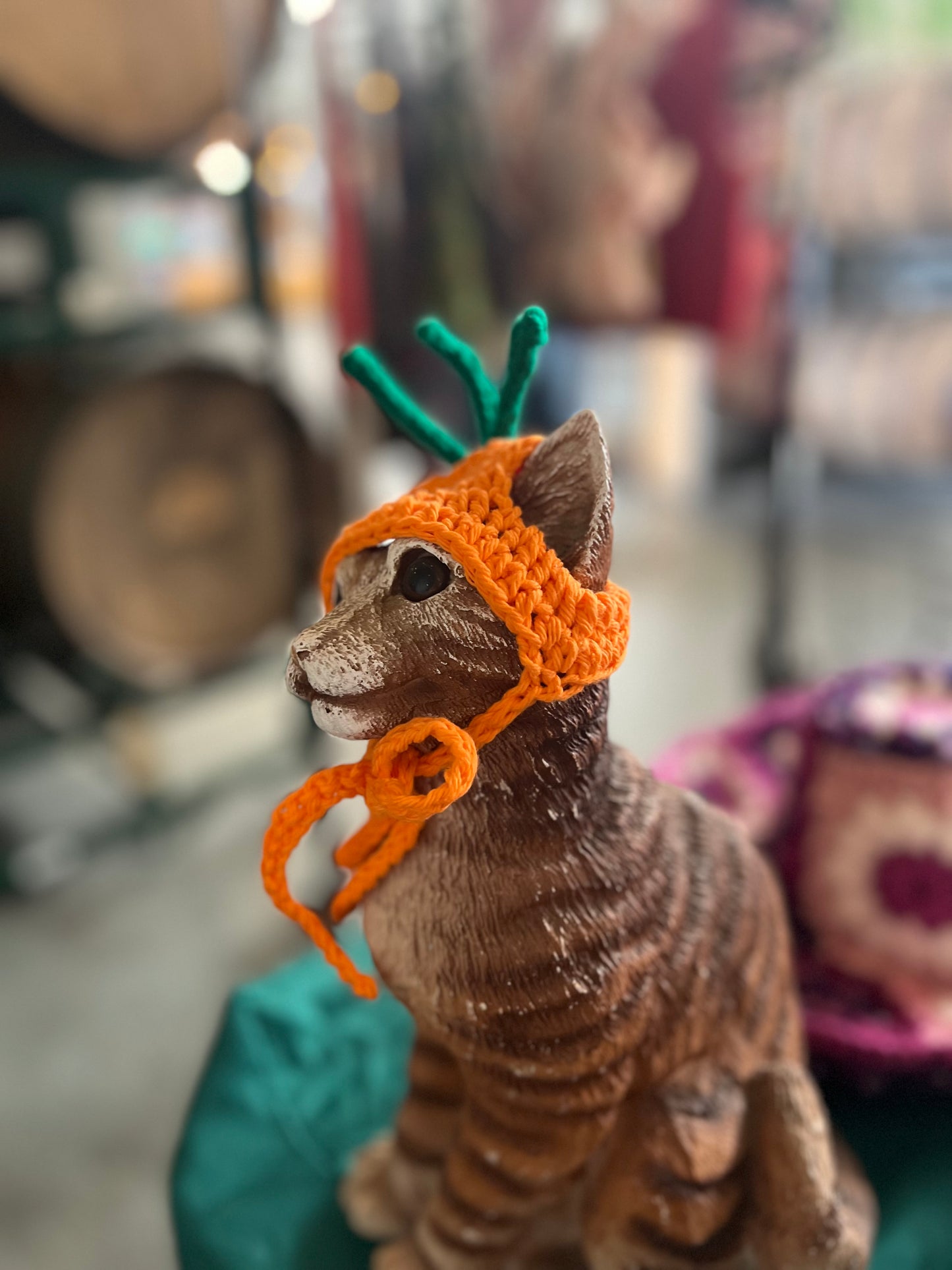 Carrot Cat Hat