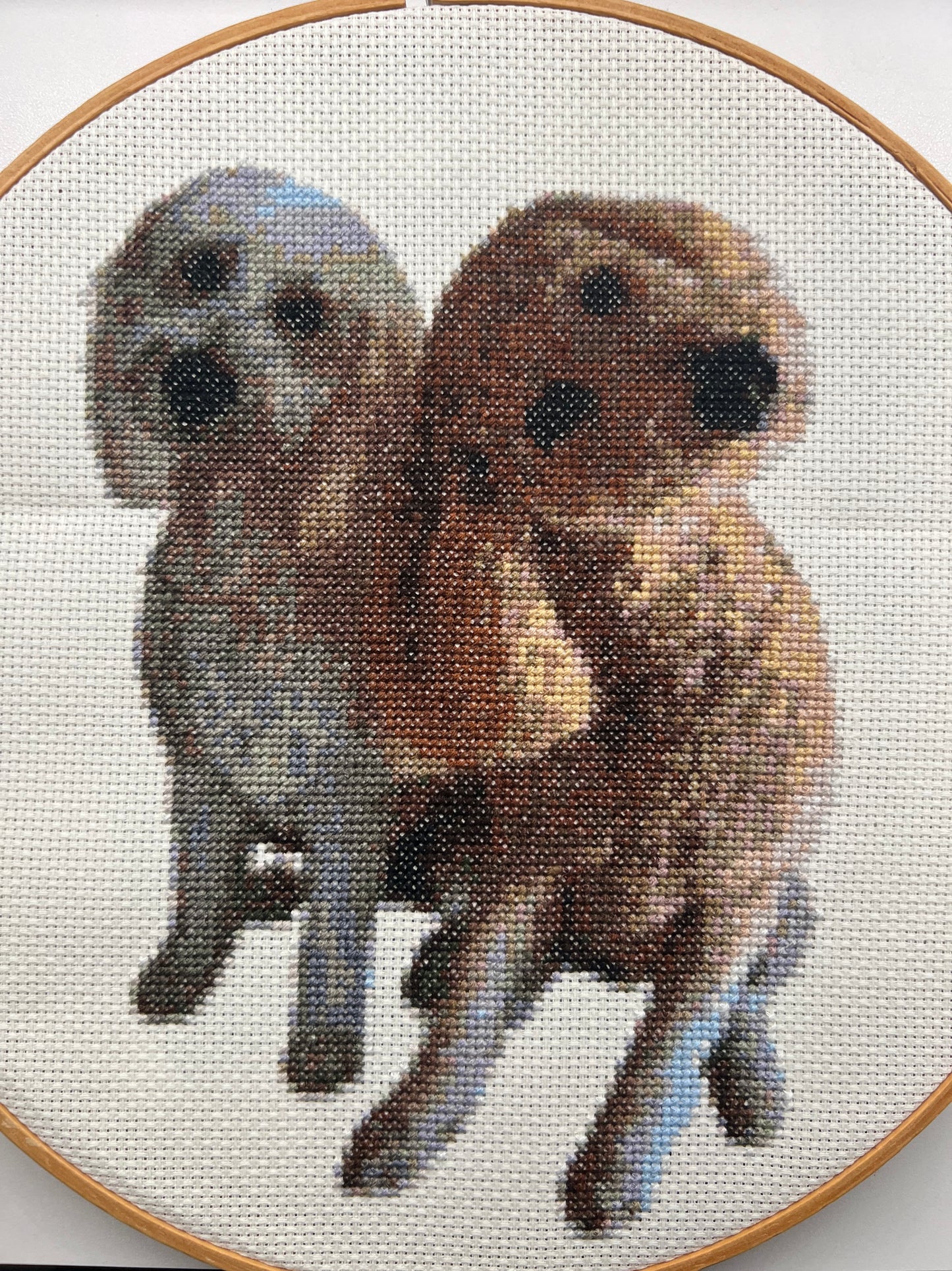 Custom Pet Cross-Stitch