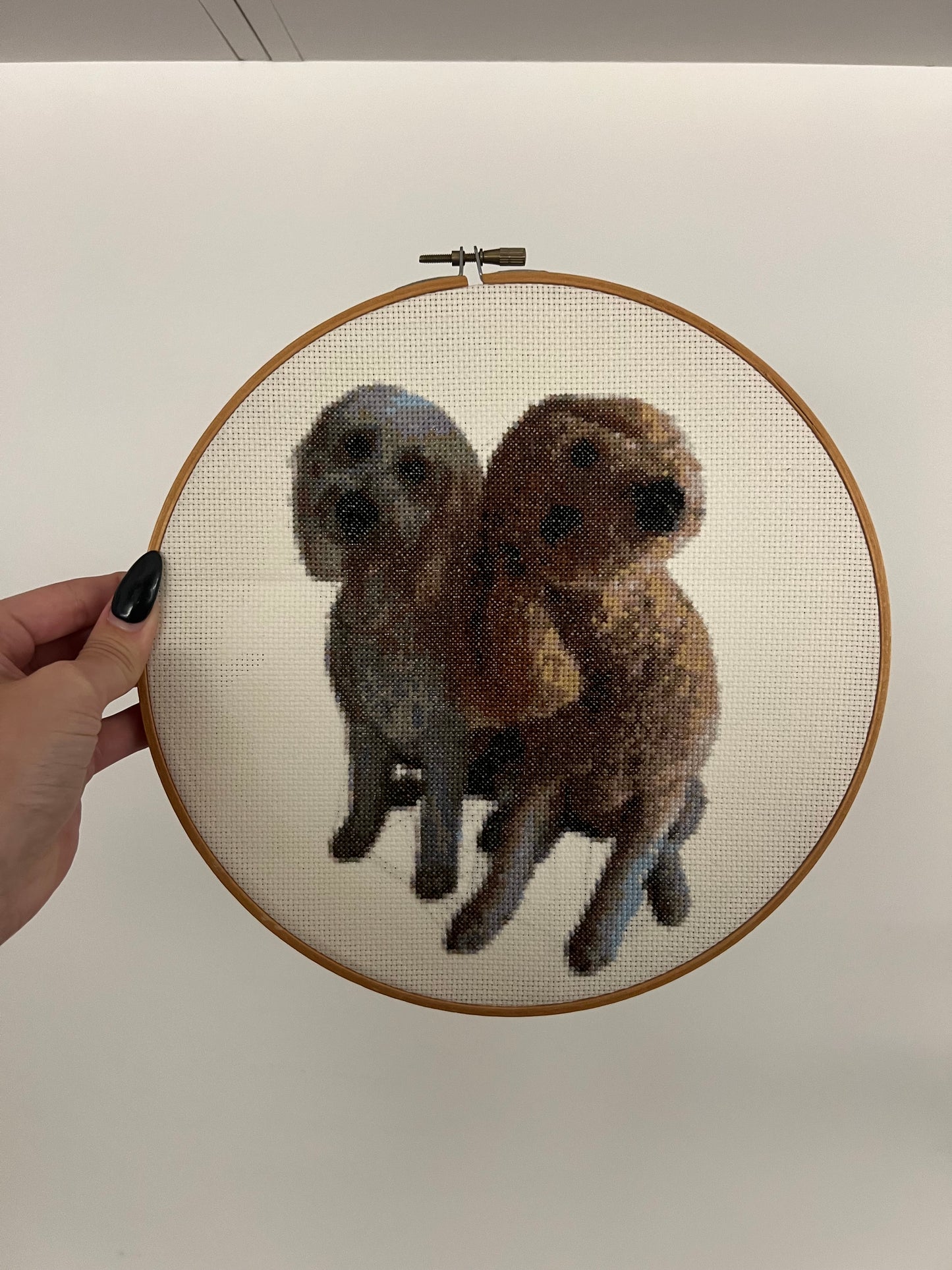 Custom Pet Cross-Stitch