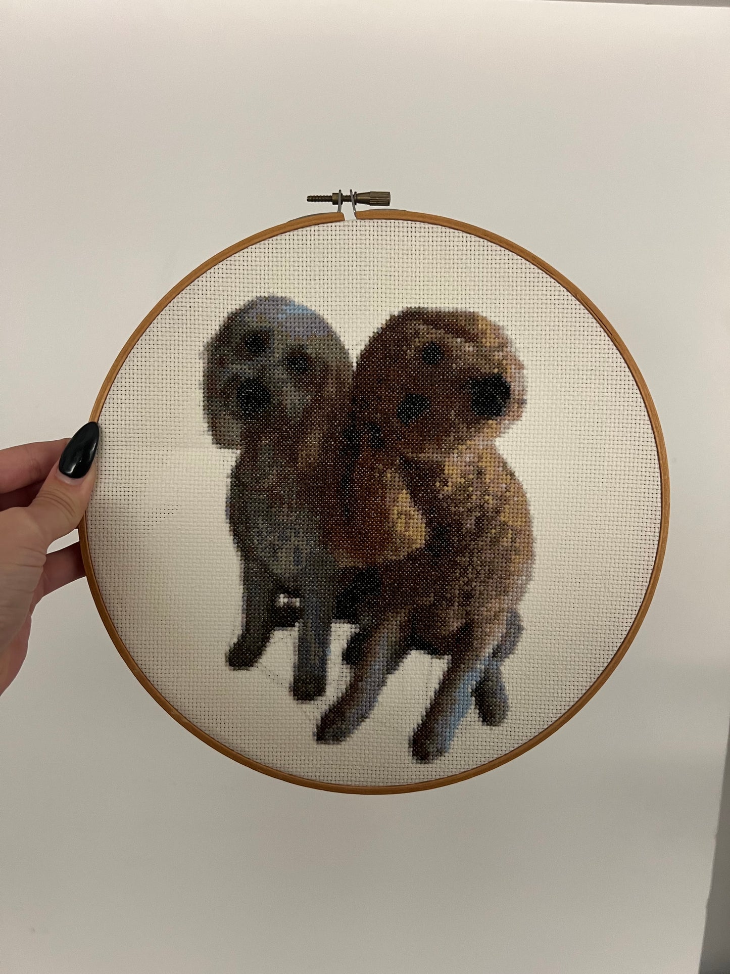 Custom Pet Cross-Stitch