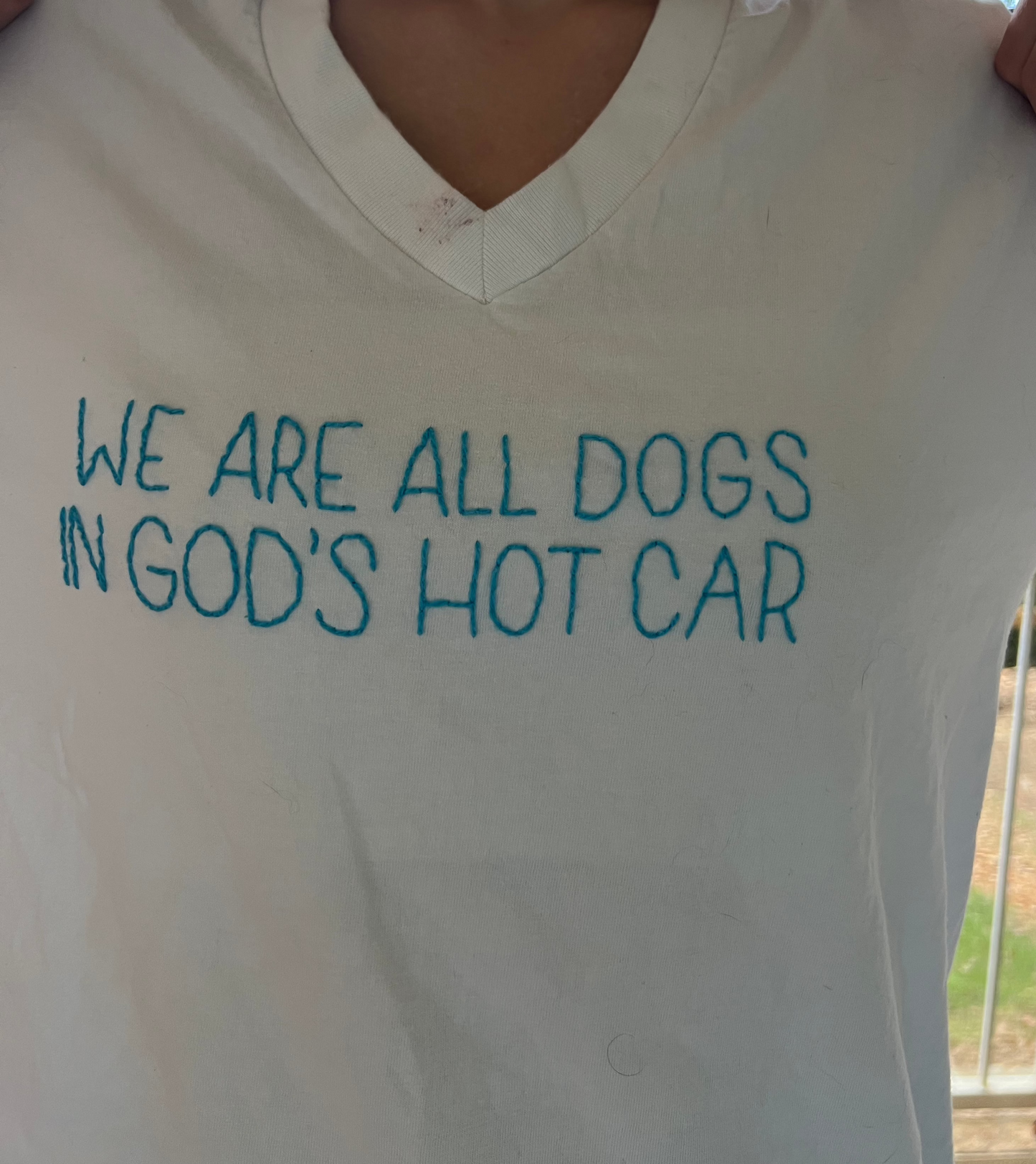 We Are All Dogs In God's Hot Car Shirt