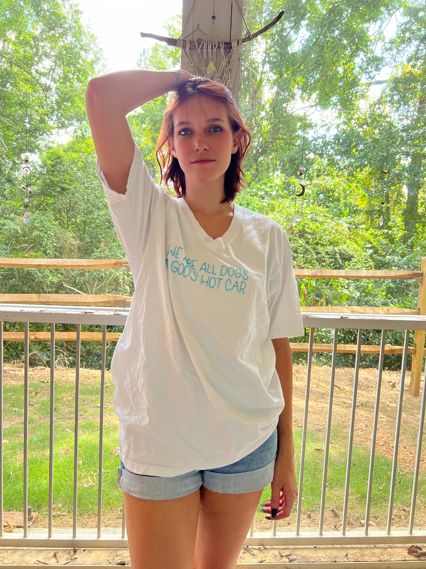 We Are All Dogs In God's Hot Car Shirt