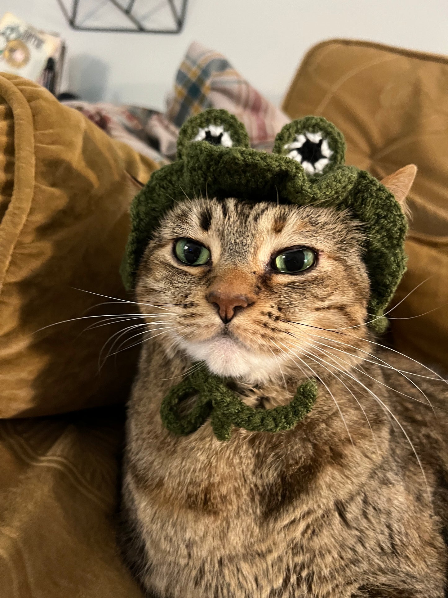 Frog Sunhat for Cats - PDF Digital Pattern