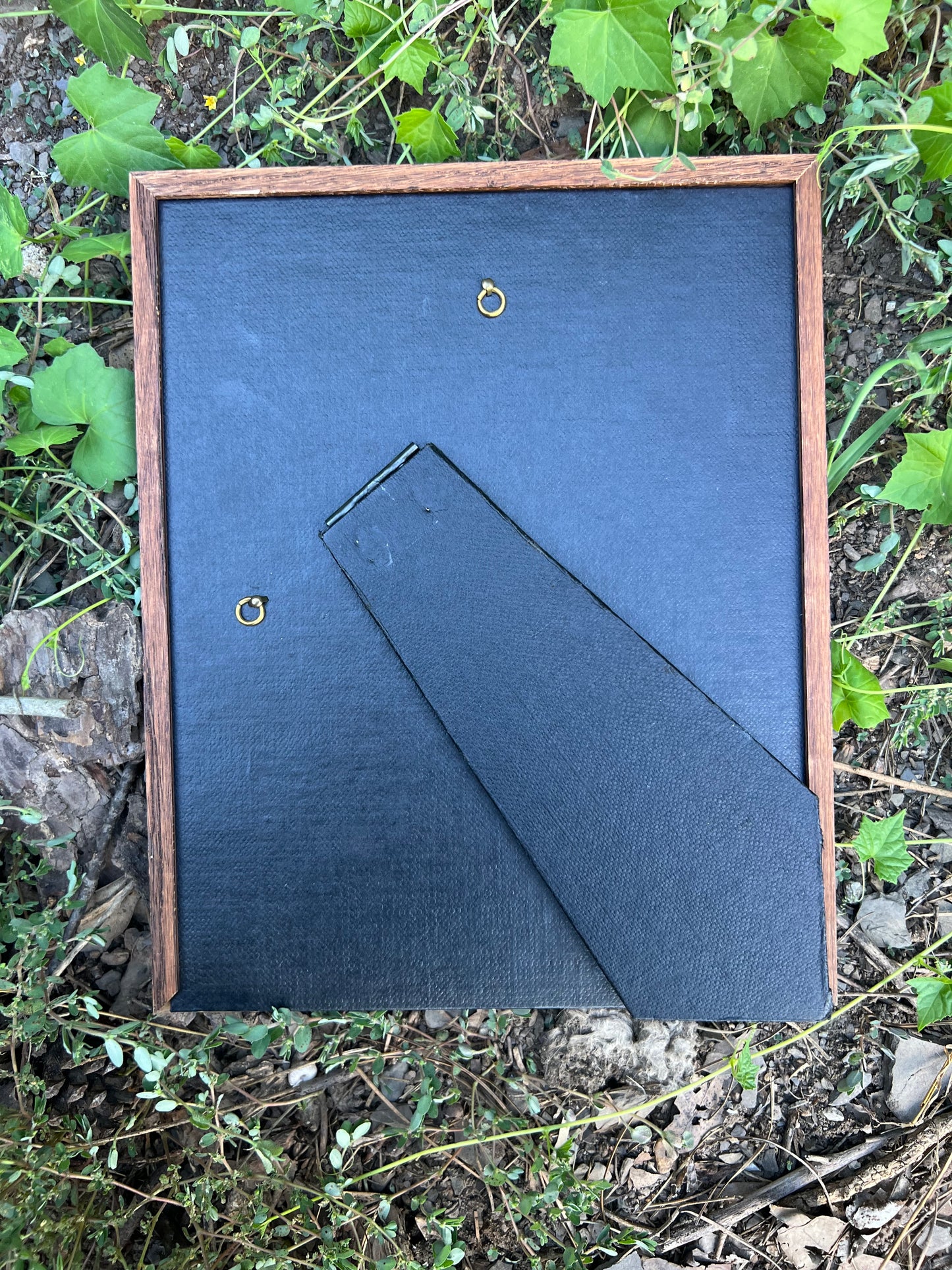 Not My Year - Framed Print