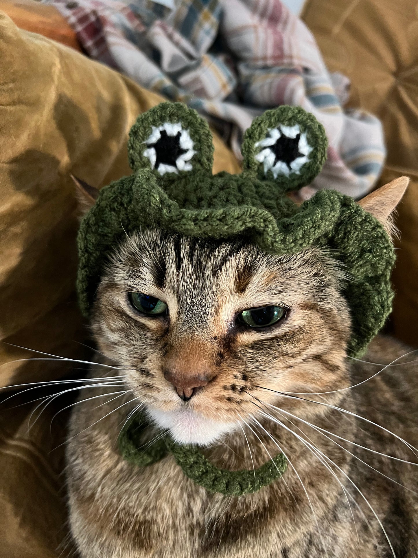 Frog Sunhat for Cats - PDF Digital Pattern