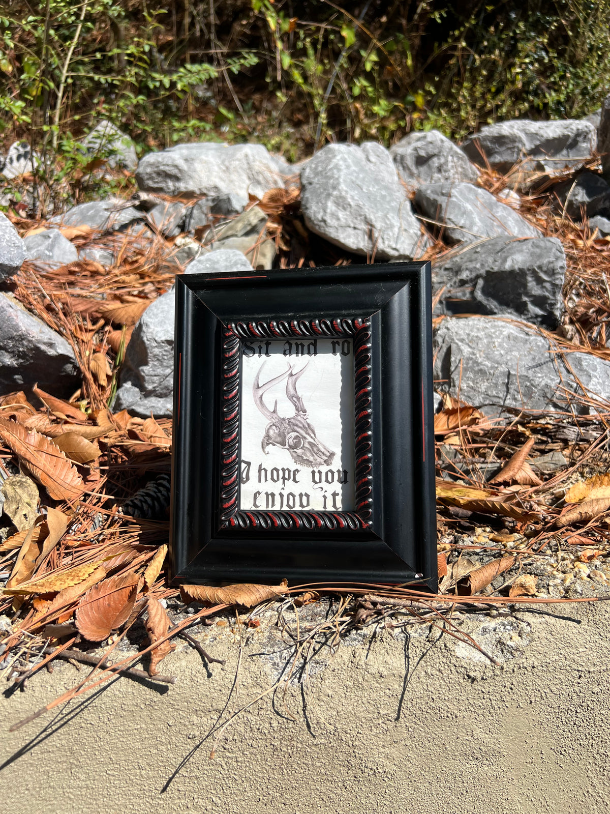 FLASH SALE - Sit & Rot Watercolor - Giclee