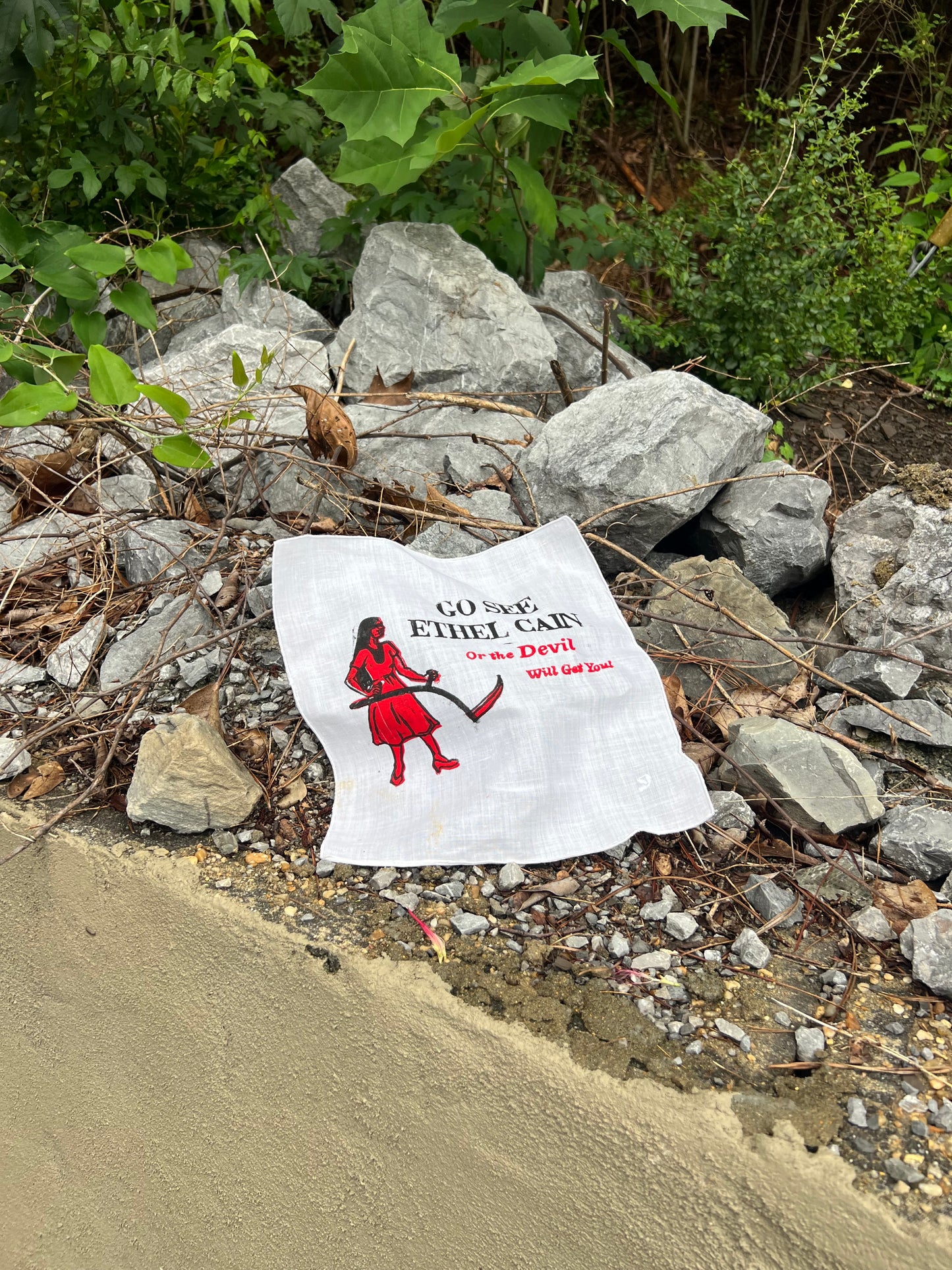 Go See Ethel Cain or the Devil Will Get You - Cloth Napkin 2