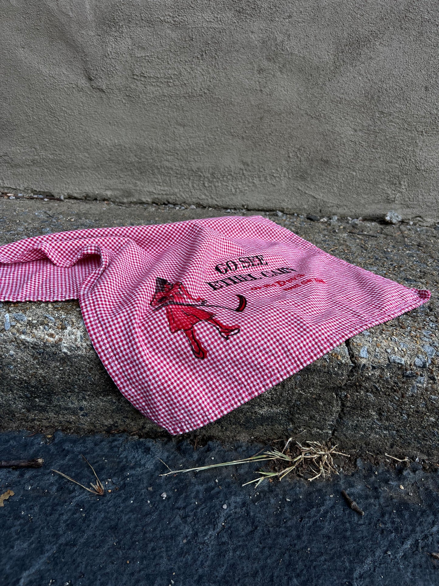Go See Ethel Cain or the Devil Will Get You - Red Gingham Hand Towel