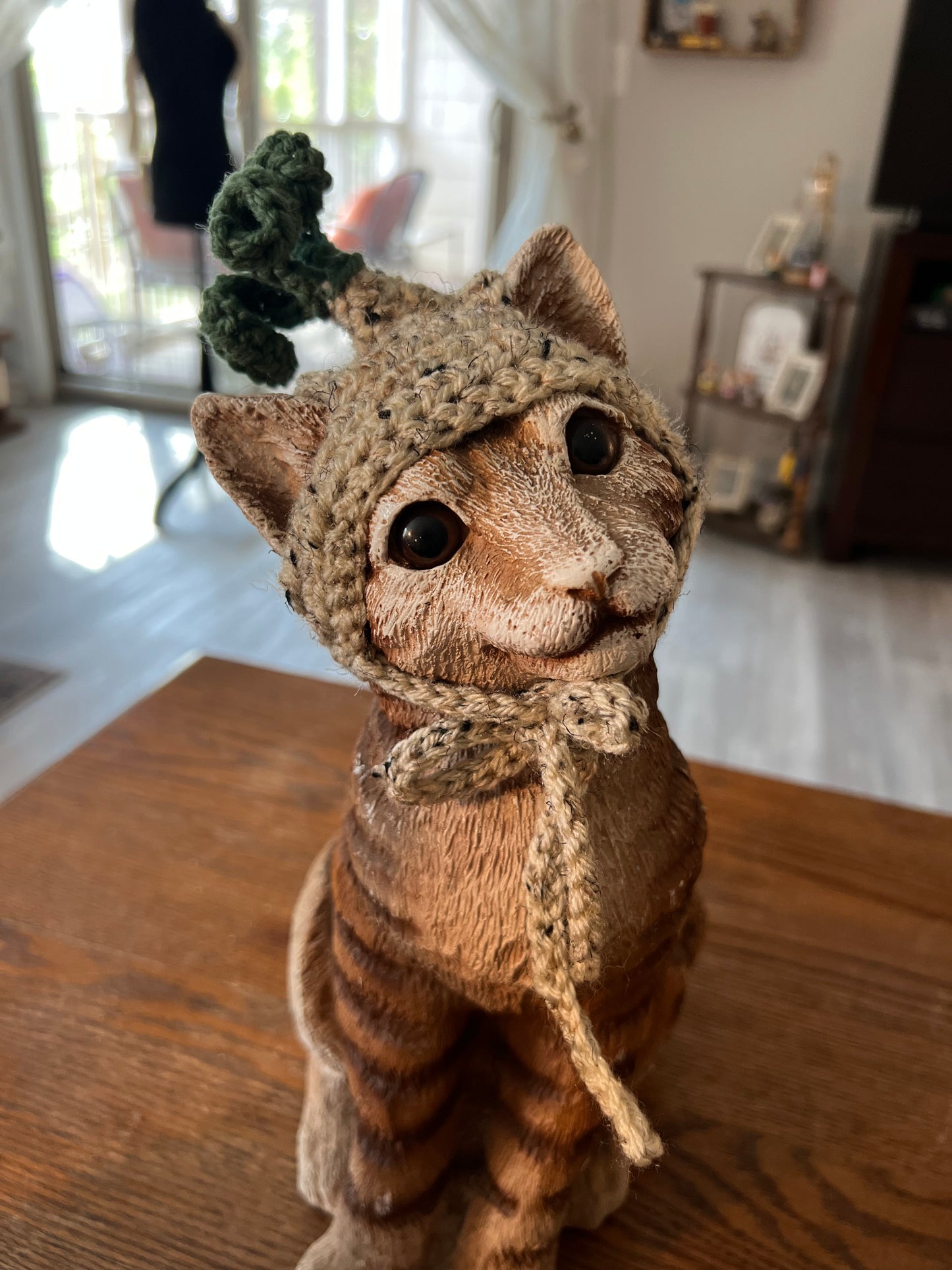 Onion Cat Hat