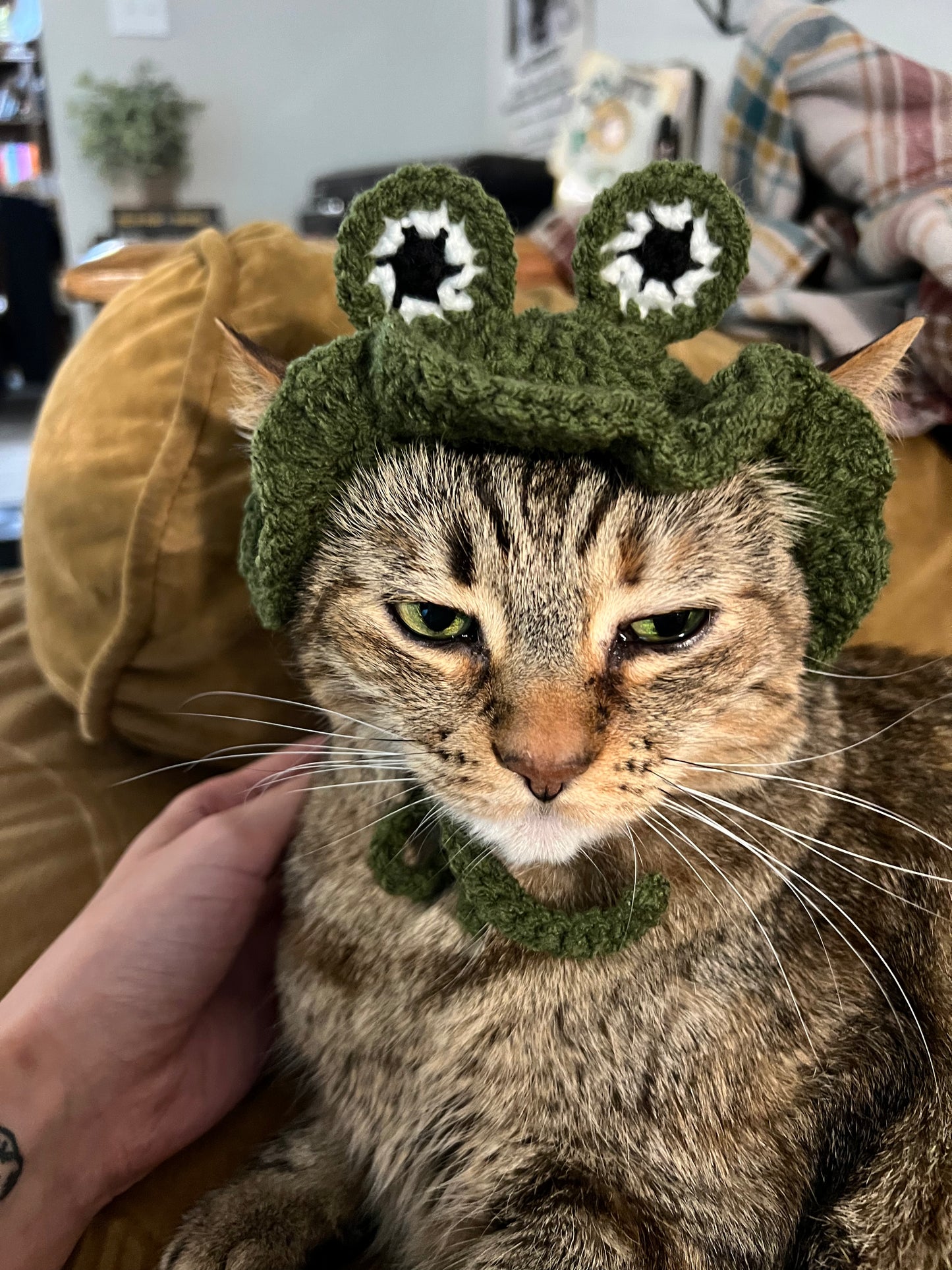 Frog Sunhat for Cats - PDF Digital Pattern