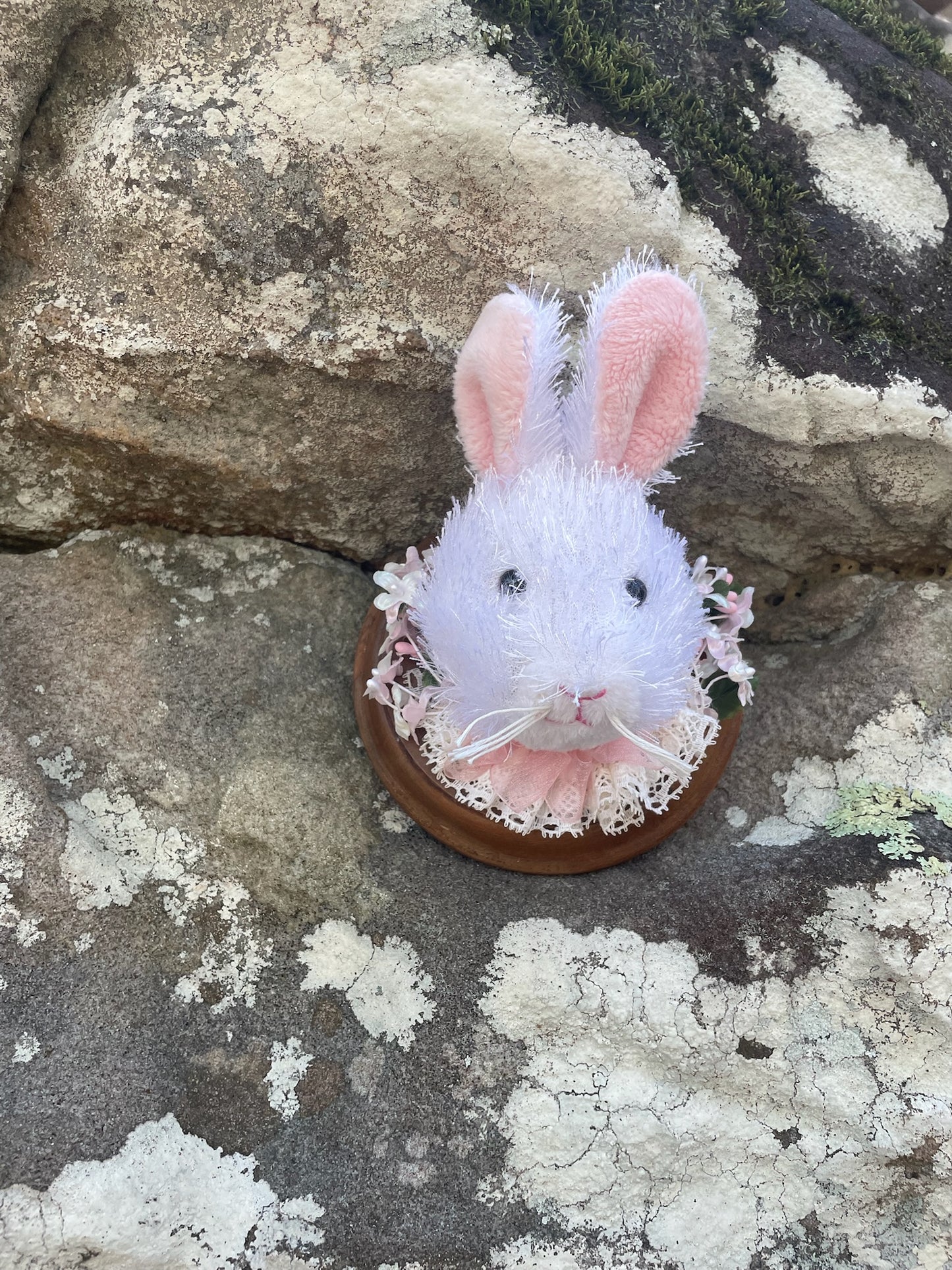Easter Bunny - Vegan Taxidermy
