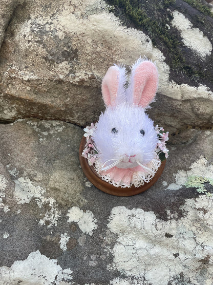 Easter Bunny - Vegan Taxidermy