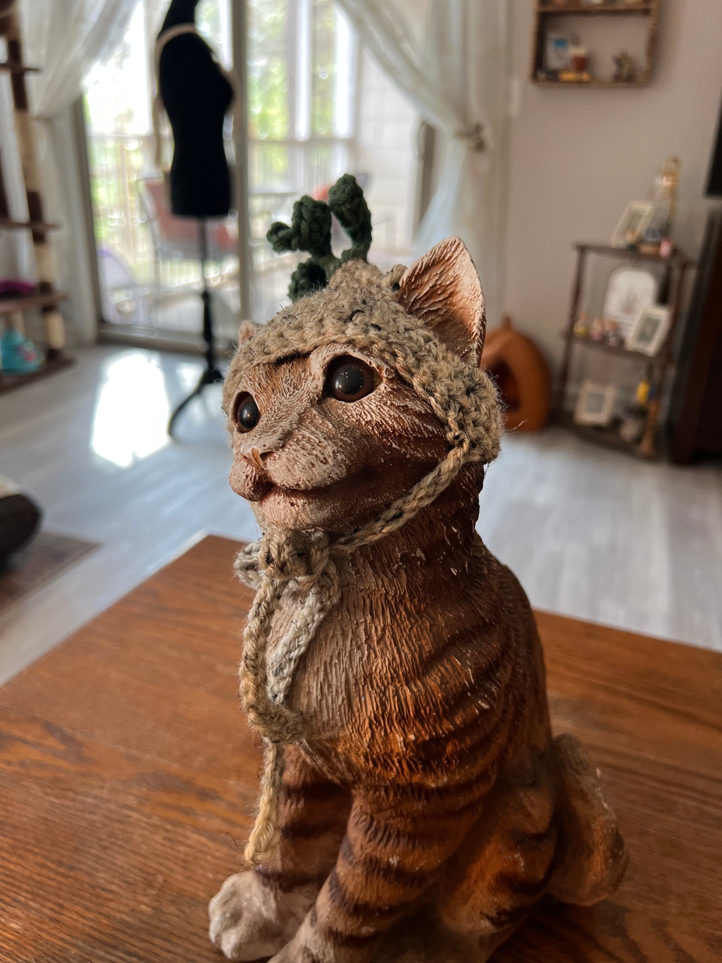 Onion Cat Hat