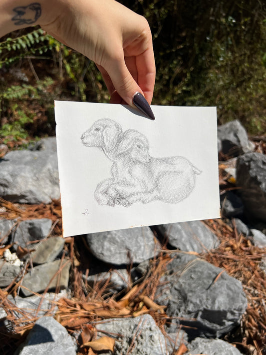 FLASH SALE - Two-Headed Lamb - Giclee