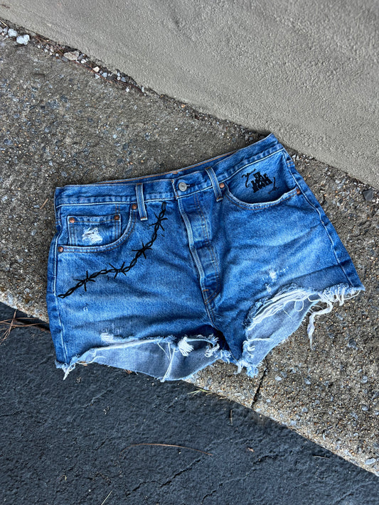 Go See Ethel Cain or the Devil Will Get You -  Levi Denim Shorts