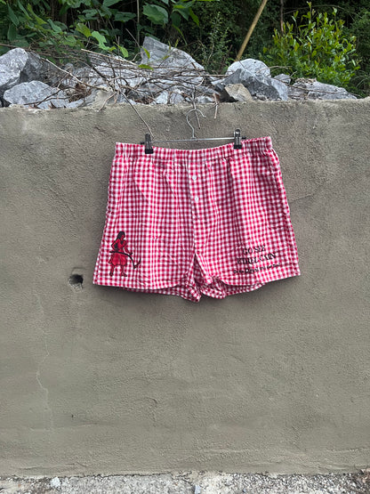 Go See Ethel Cain or the Devil Will Get You - Red Gingham Shorts