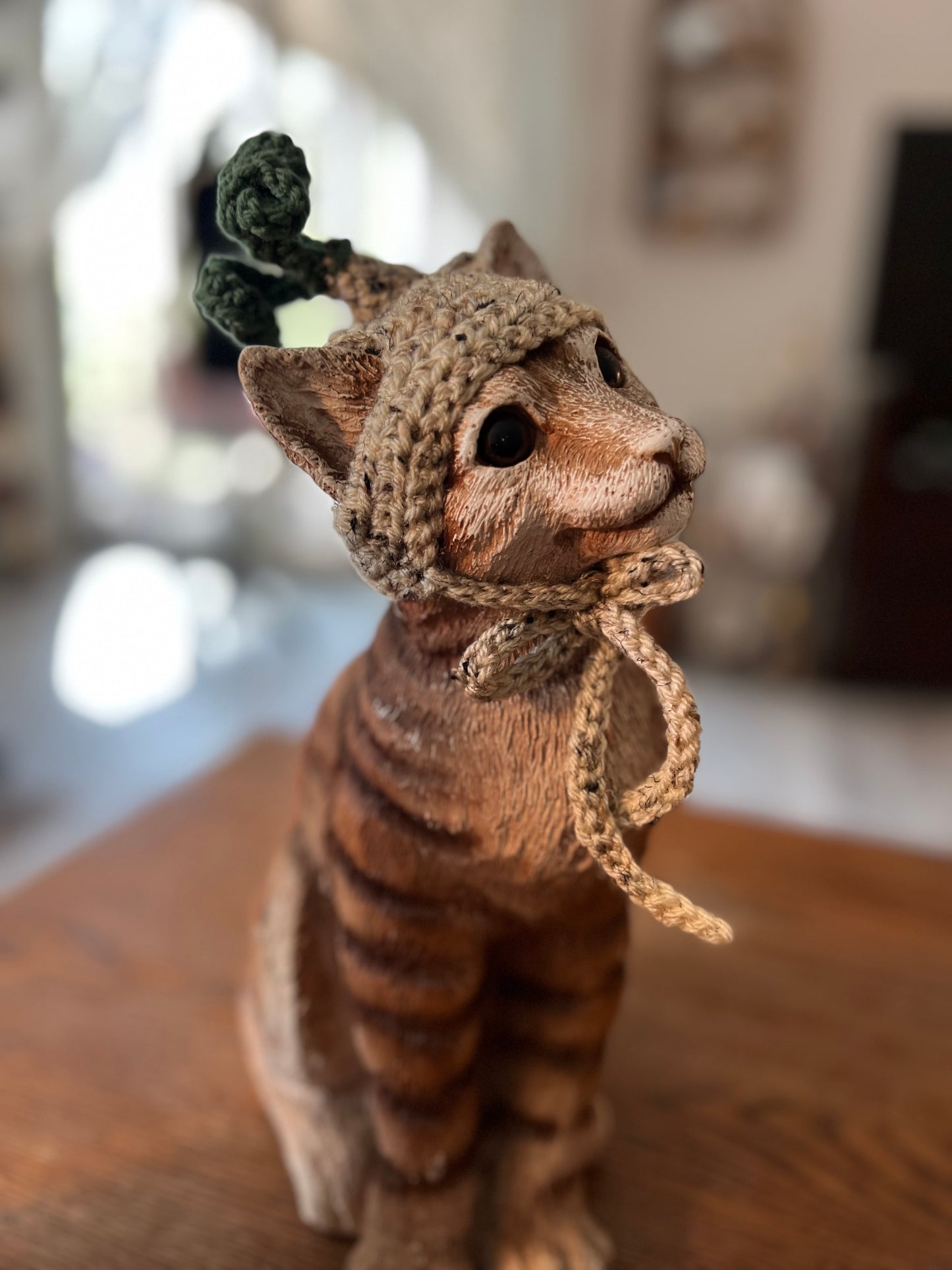 Onion Cat Hat