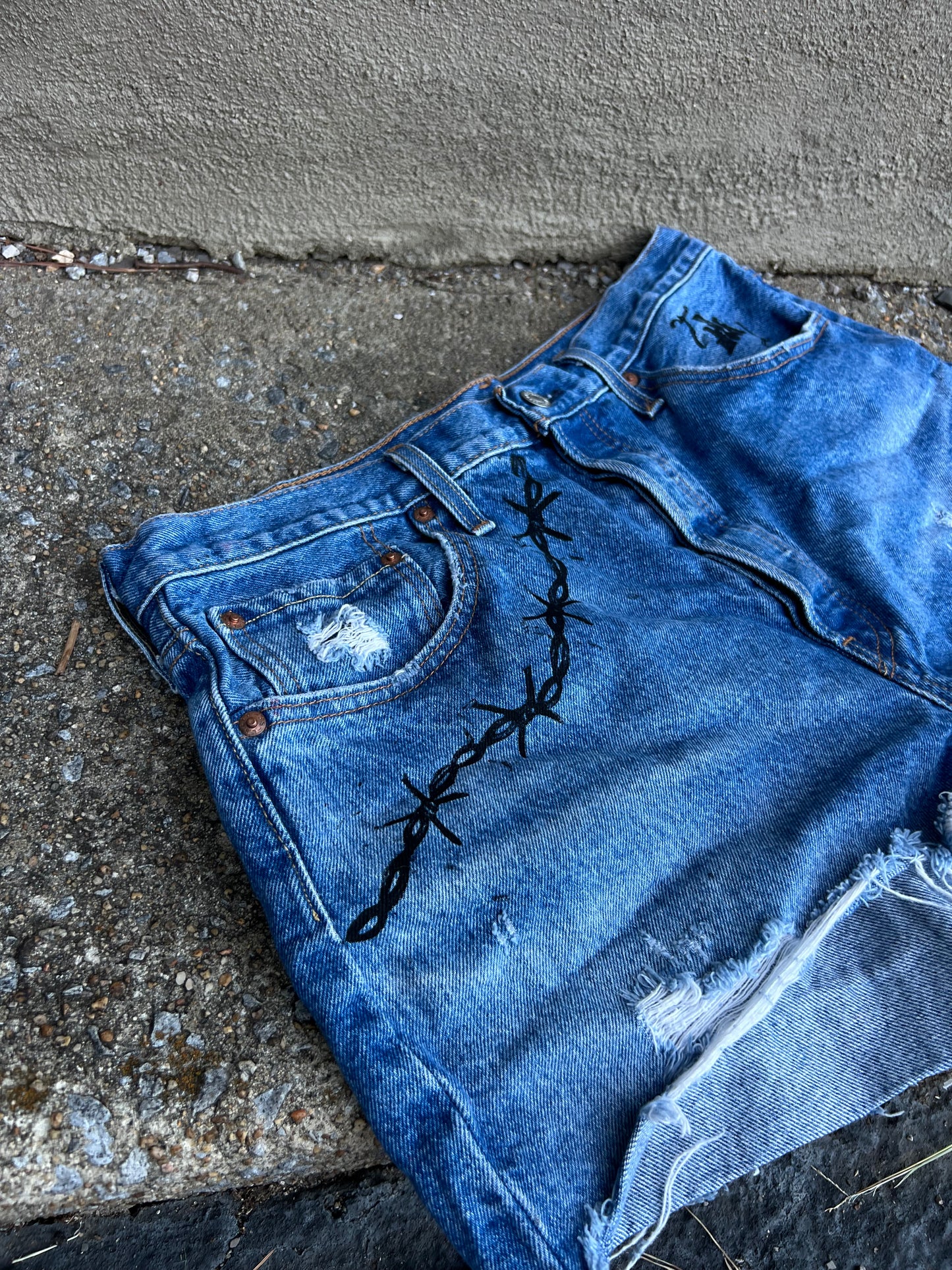 Go See Ethel Cain or the Devil Will Get You -  Levi Denim Shorts