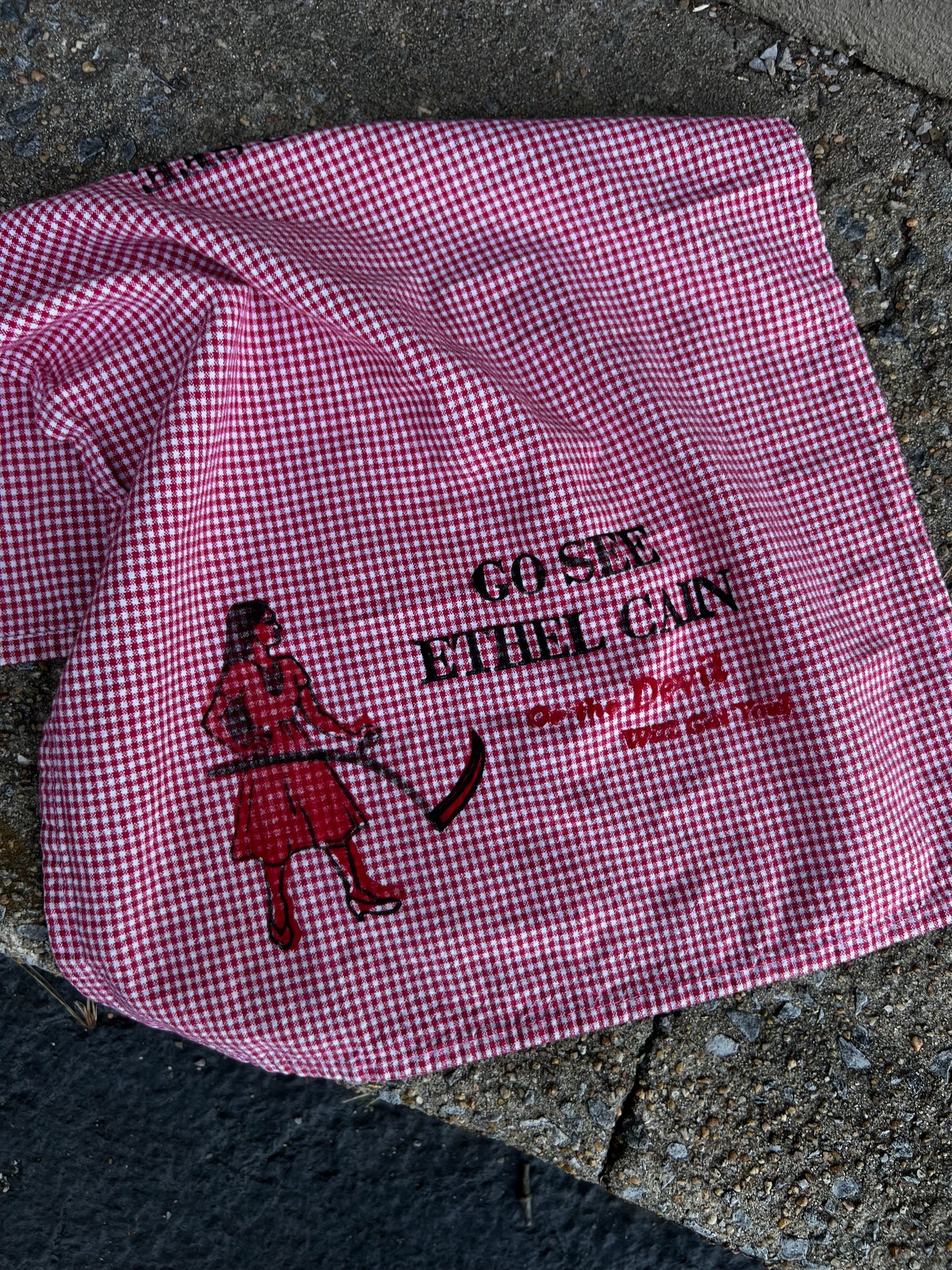 Go See Ethel Cain or the Devil Will Get You - Red Gingham Hand Towel