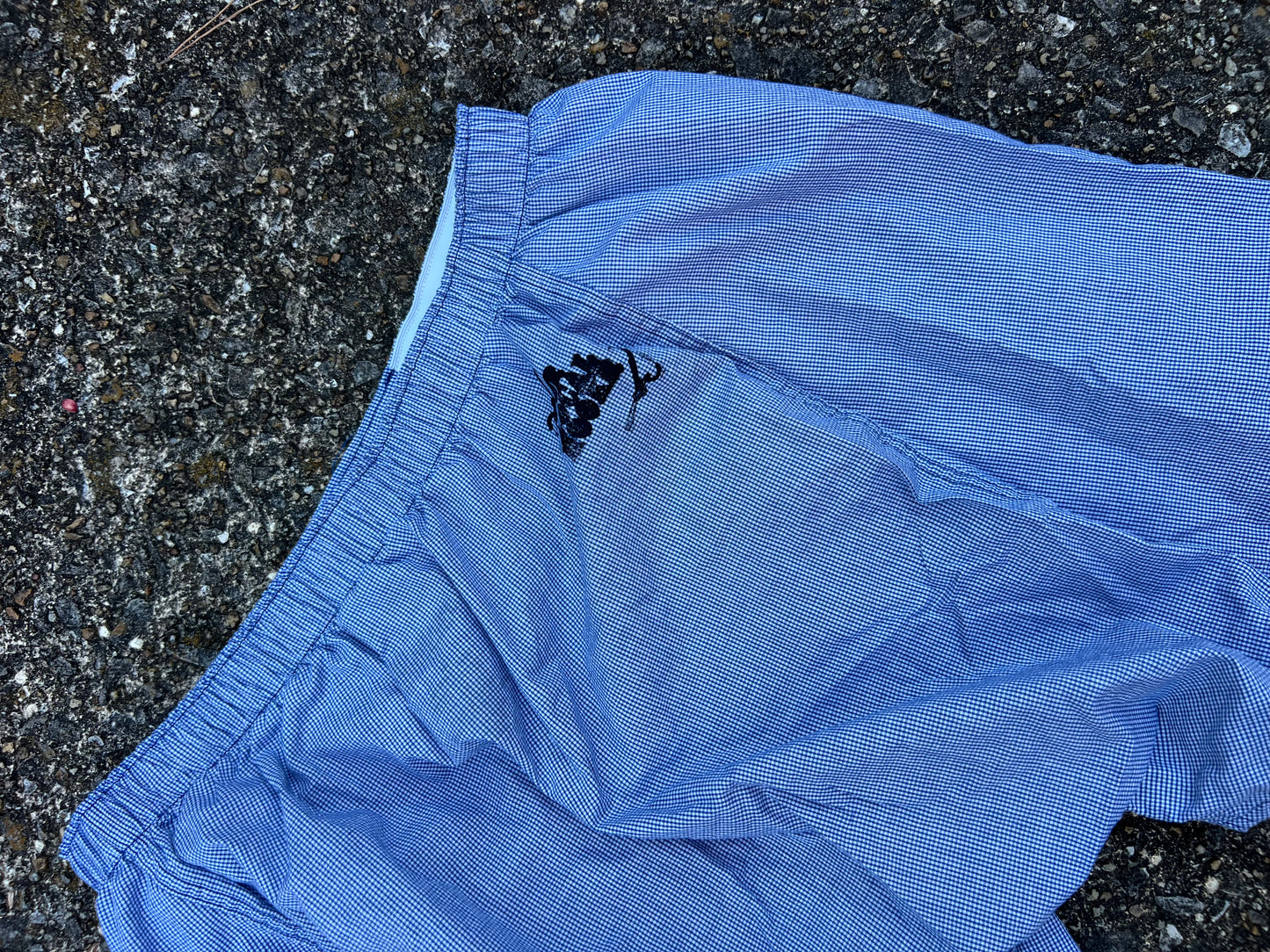 Go See Ethel Cain or the Devil Will Get You - Blue Check Boxer Shorts