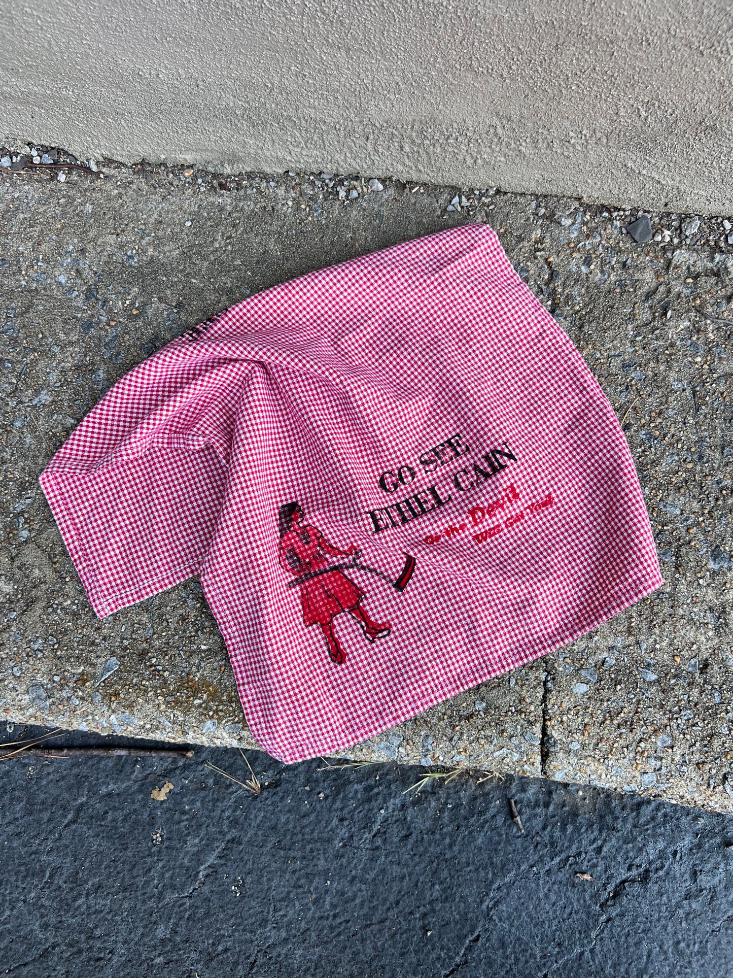 Go See Ethel Cain or the Devil Will Get You - Red Gingham Hand Towel