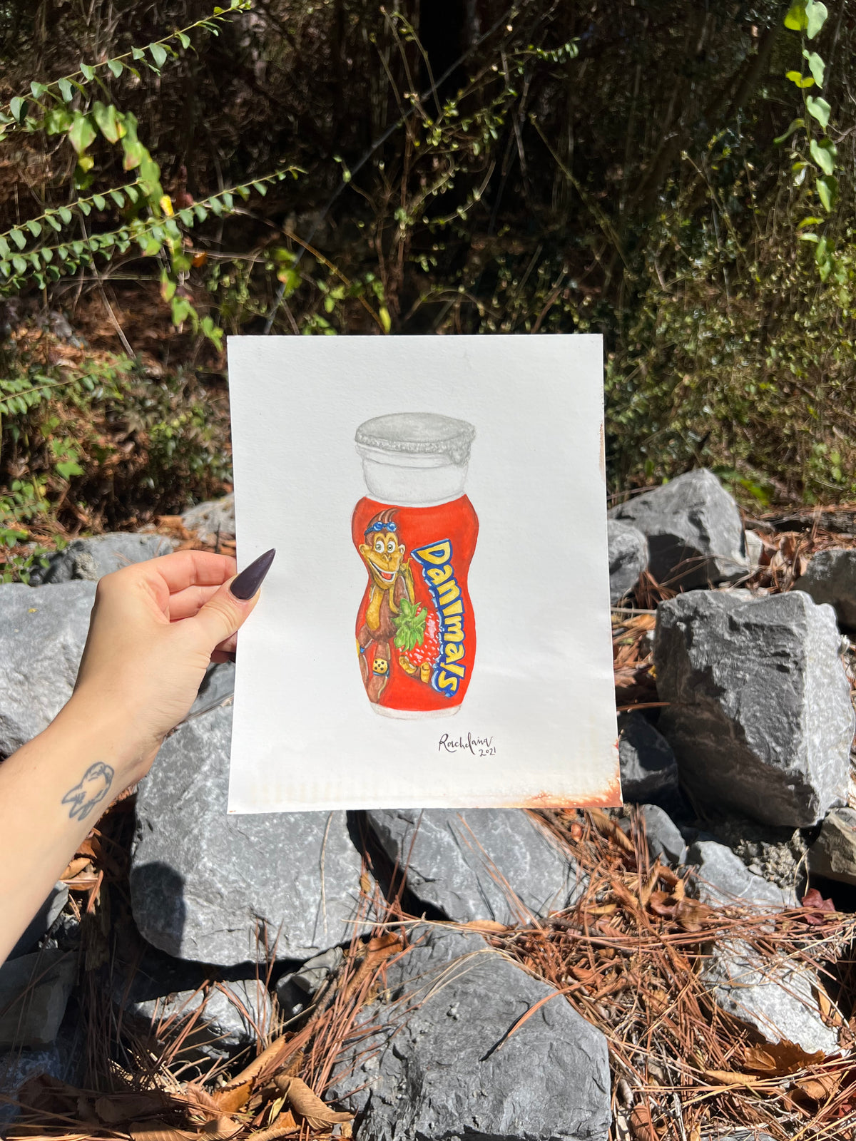 FLASH SALE - Danimals Drinkable Yogurt Watercolor - Giclee