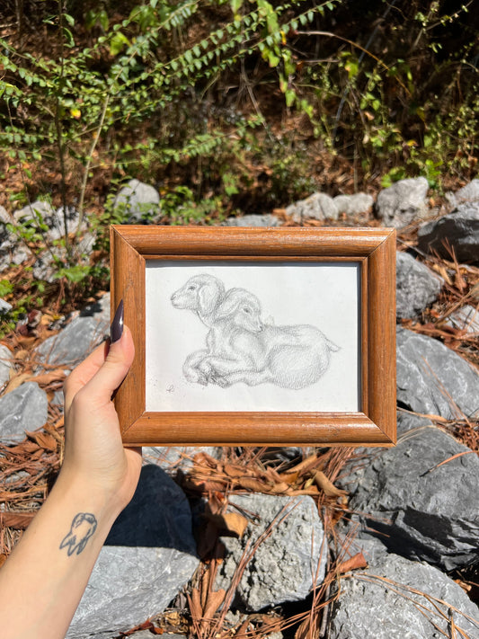 FLASH SALE - Two-Headed Lamb - Giclee