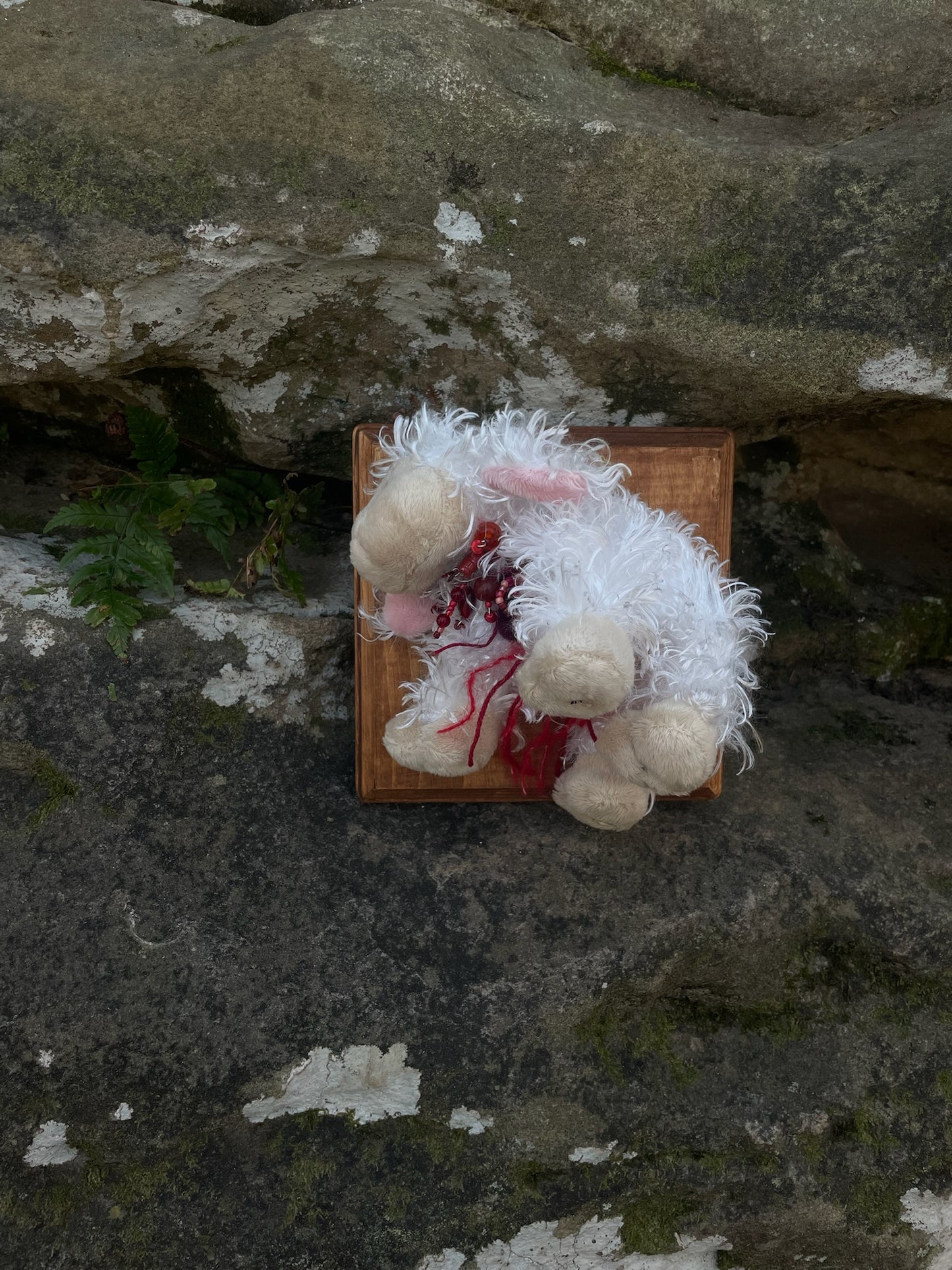 Webkinz Lamb - Vegan Taxidermy