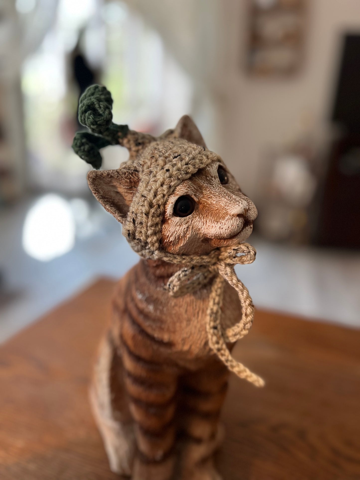 Onion Cat Hat