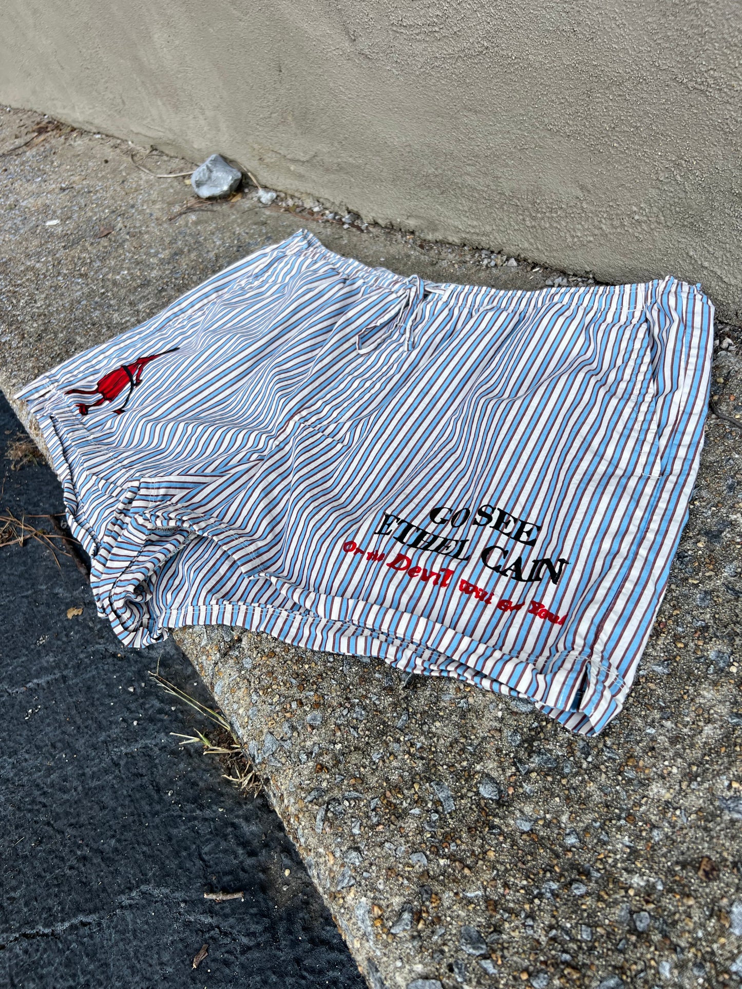 Go See Ethel Cain or the Devil Will Get You - Blue Striped Shorts