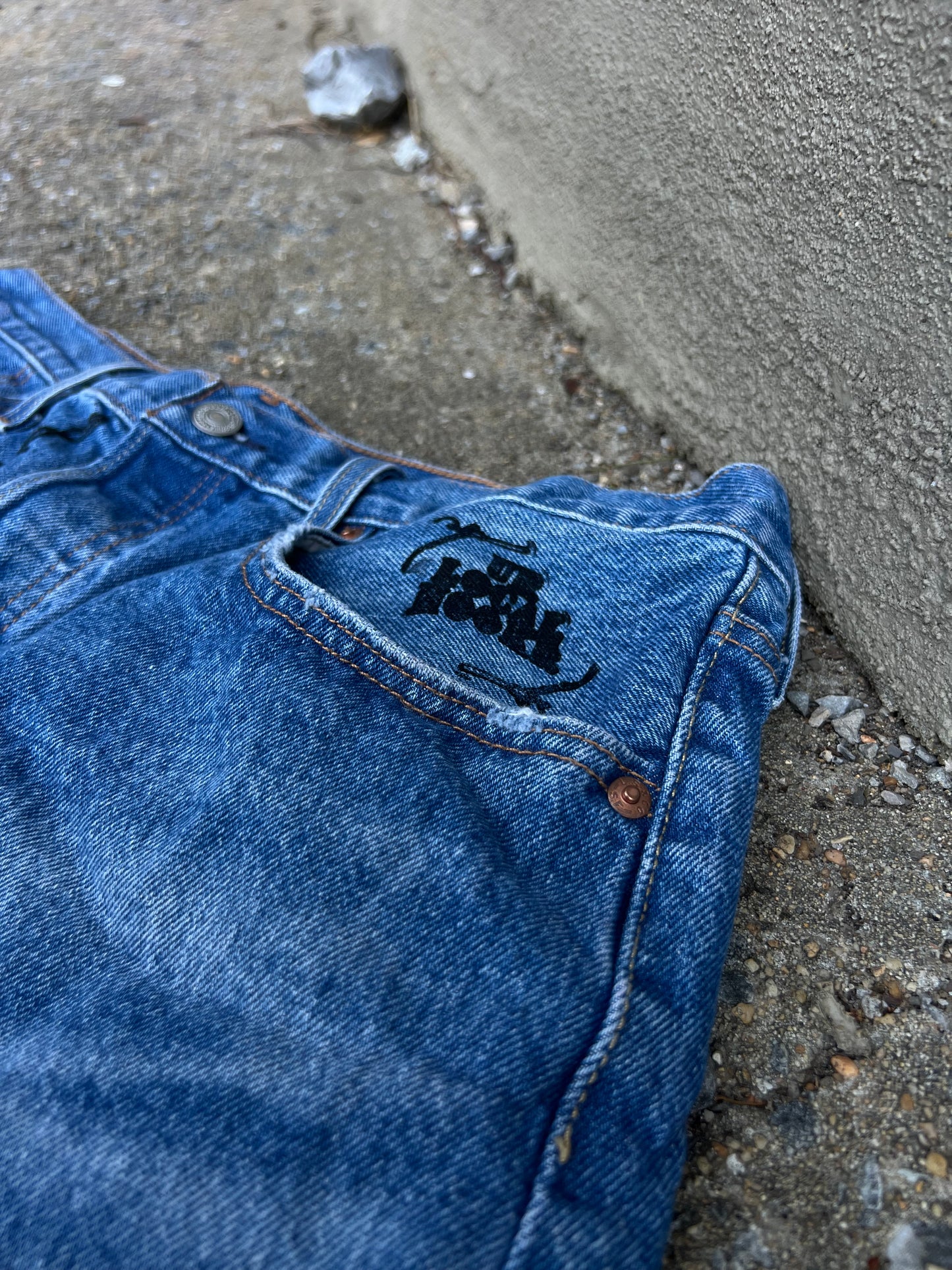 Go See Ethel Cain or the Devil Will Get You -  Levi Denim Shorts