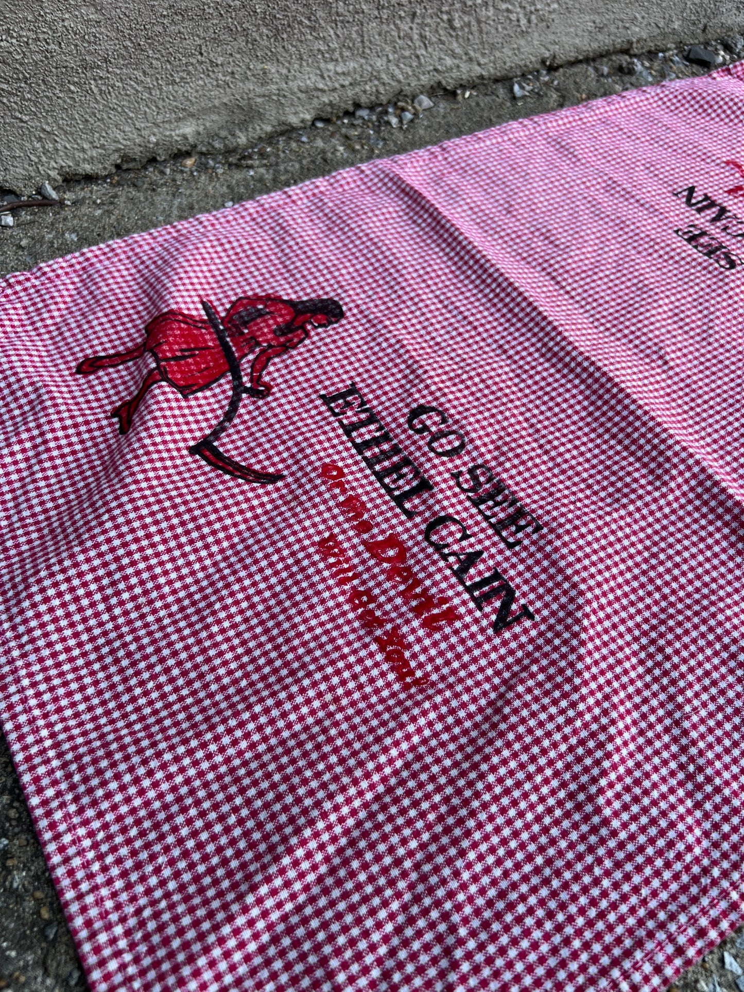 Go See Ethel Cain or the Devil Will Get You - Red Gingham Hand Towel
