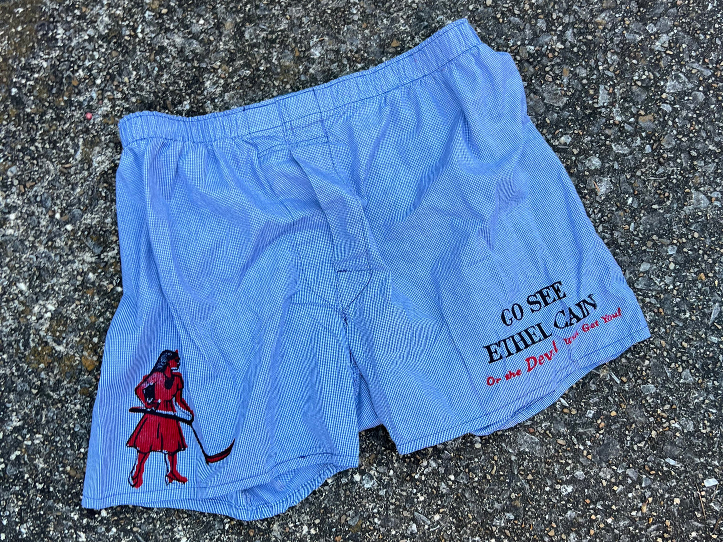 Go See Ethel Cain or the Devil Will Get You - Blue Check Boxer Shorts