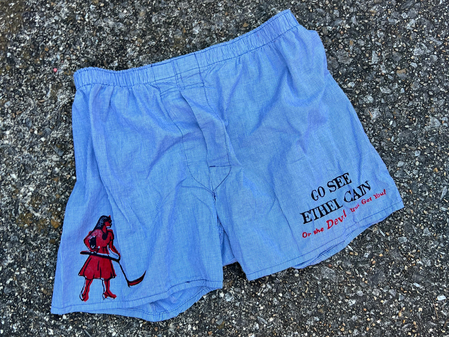 Go See Ethel Cain or the Devil Will Get You - Blue Check Boxer Shorts