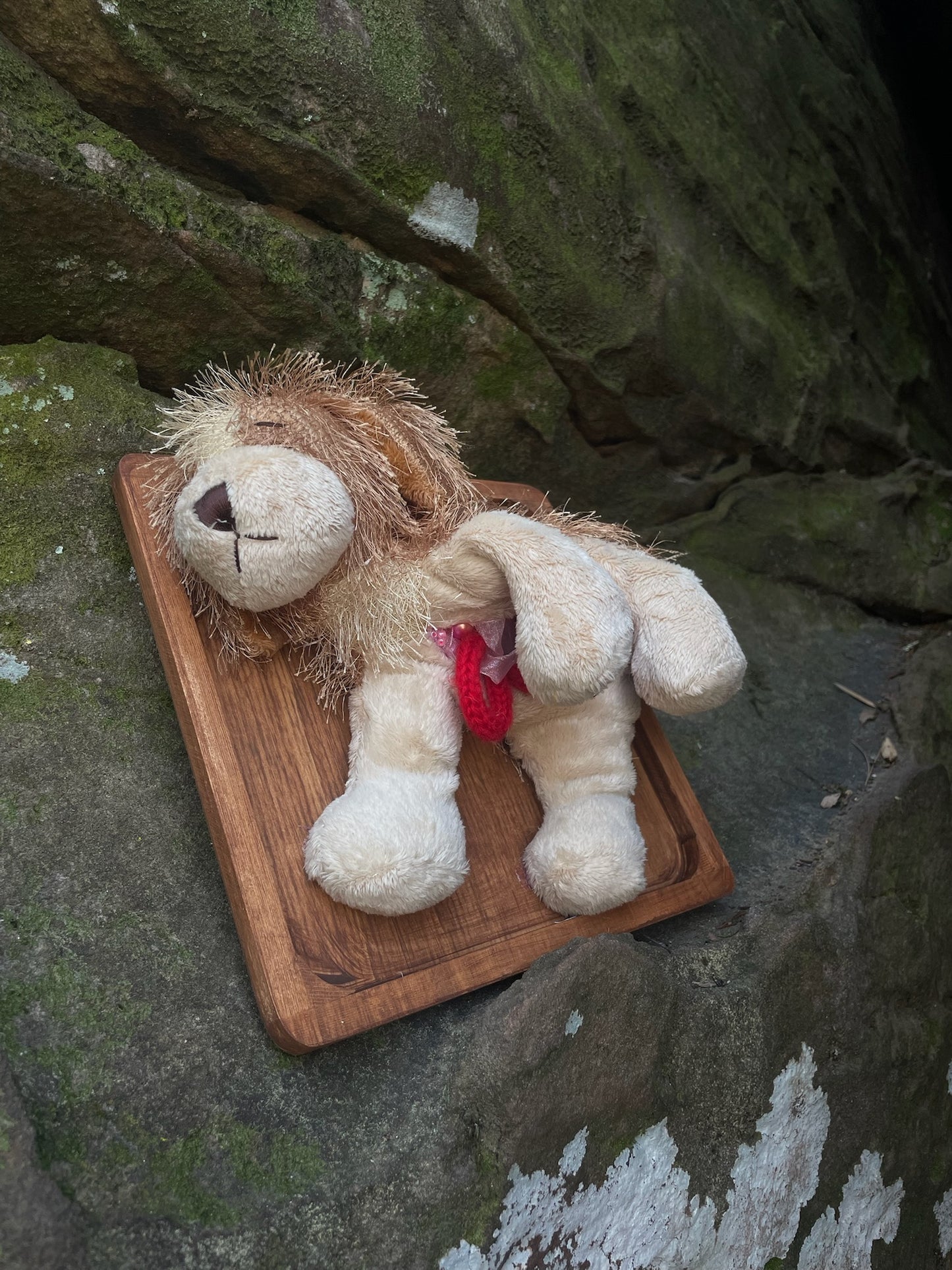 Webkinz Dog - Vegan Taxidermy