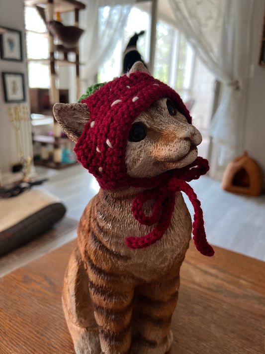 Strawberry Cat Hat