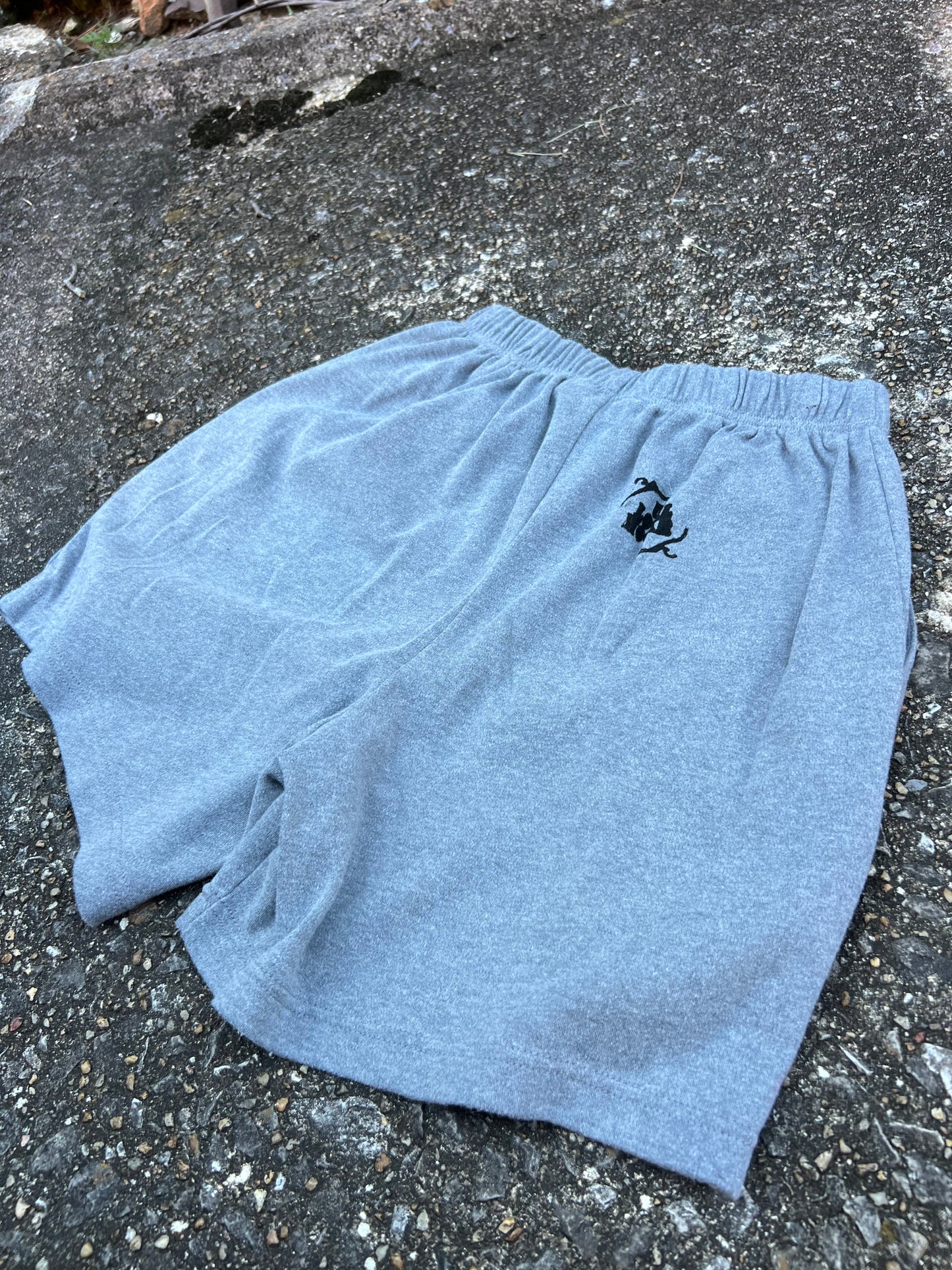 Go See Ethel Cain or the Devil Will Get You - Romans Grey Shorts
