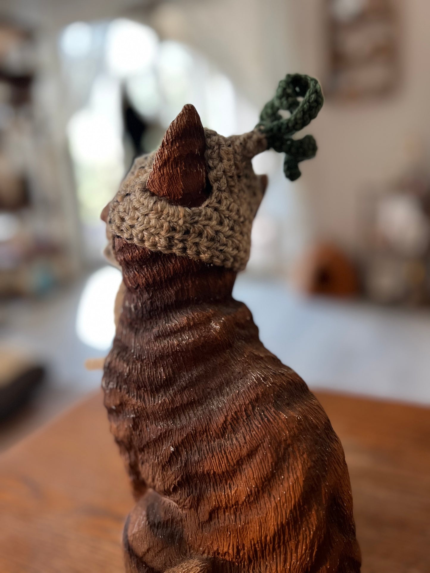 Onion Cat Hat