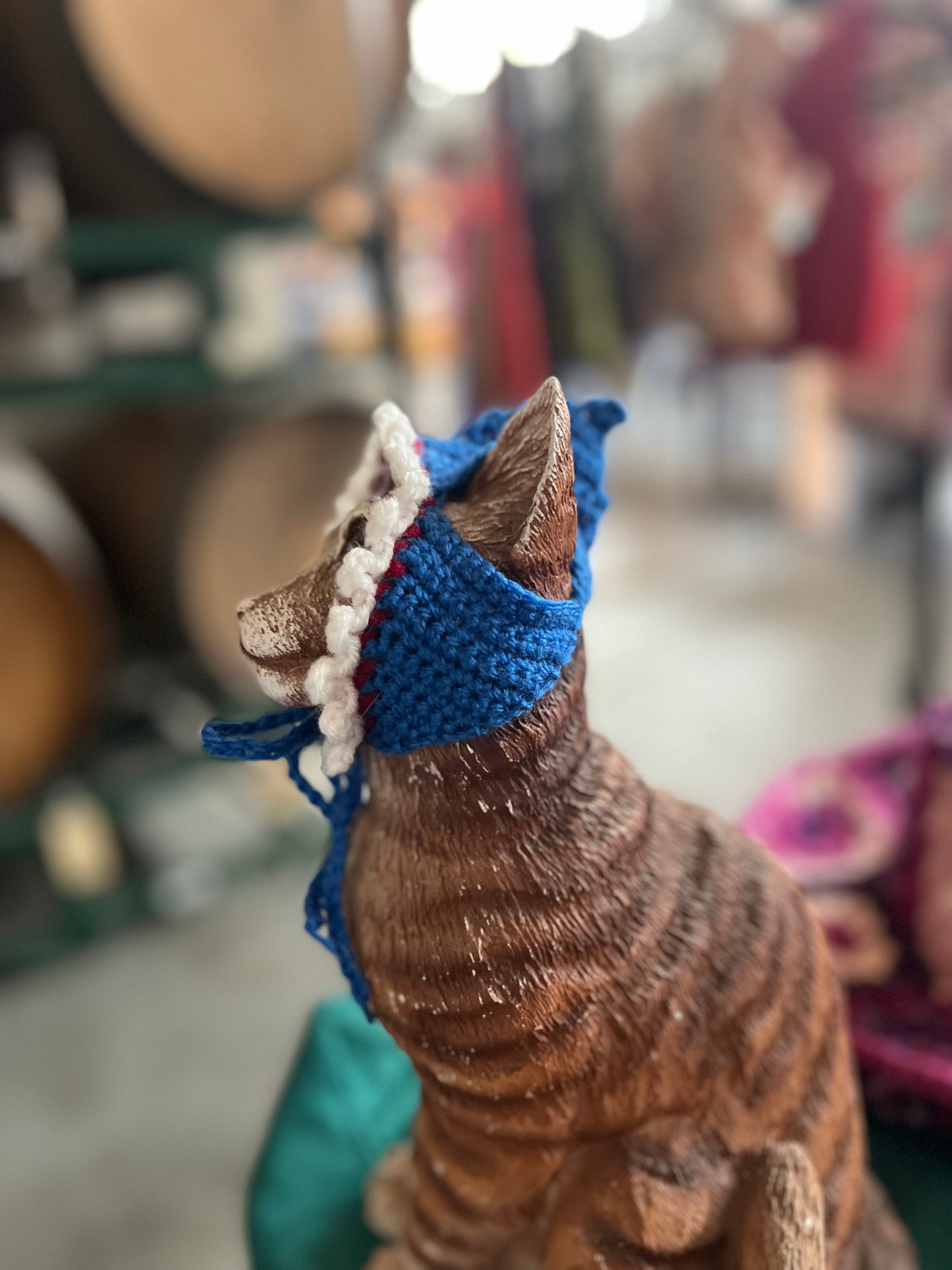 Shark Cat Hat